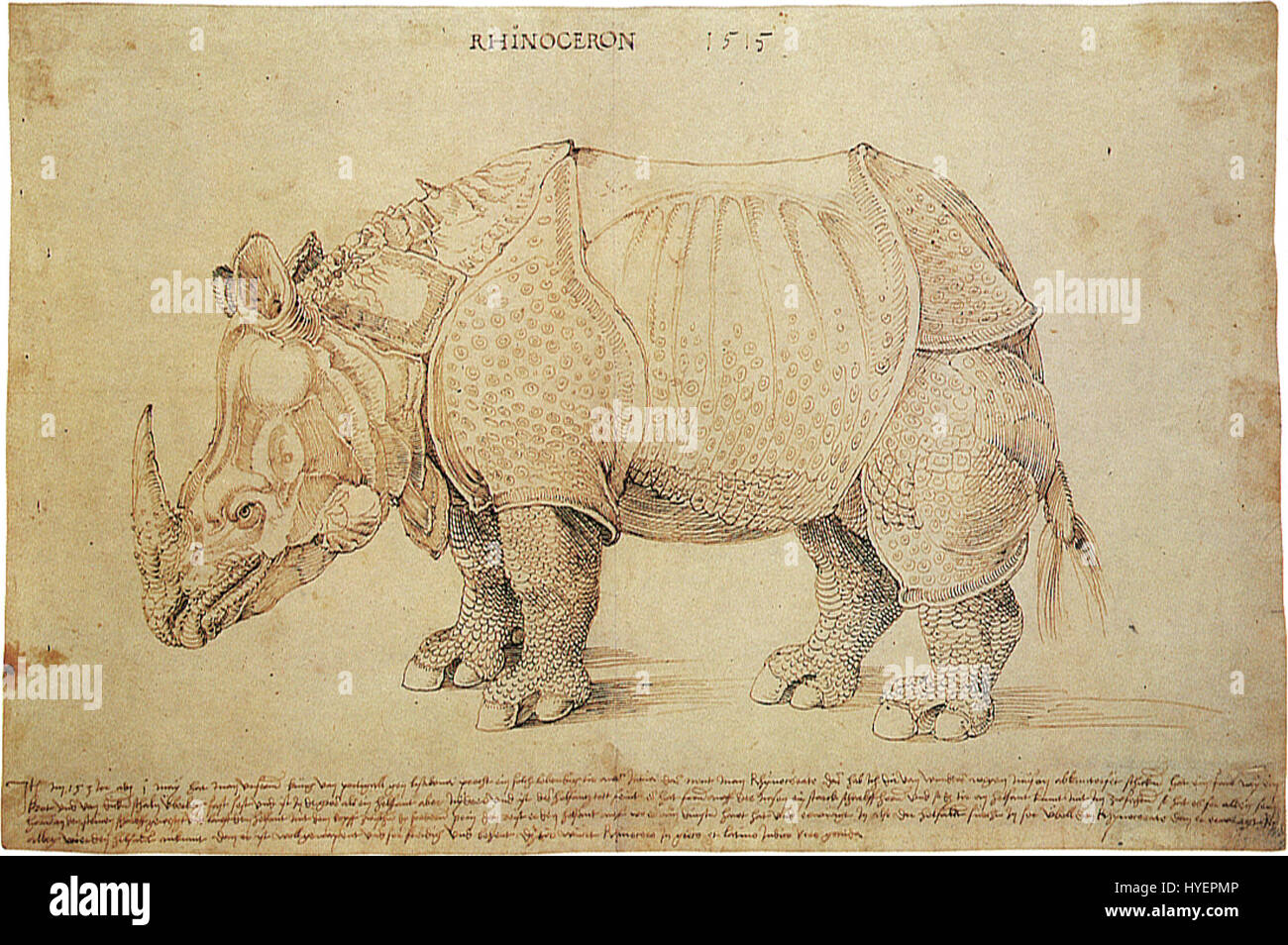 Un disegno di Albrecht Dürer, uno dei più rinomati artisti del Rinascimento settentrionale, è noto per la sua meticolosa attenzione ai dettagli e la precisione tecnica. Le opere di Dürer spesso rappresentavano temi religiosi, mitologici e naturali. Foto Stock