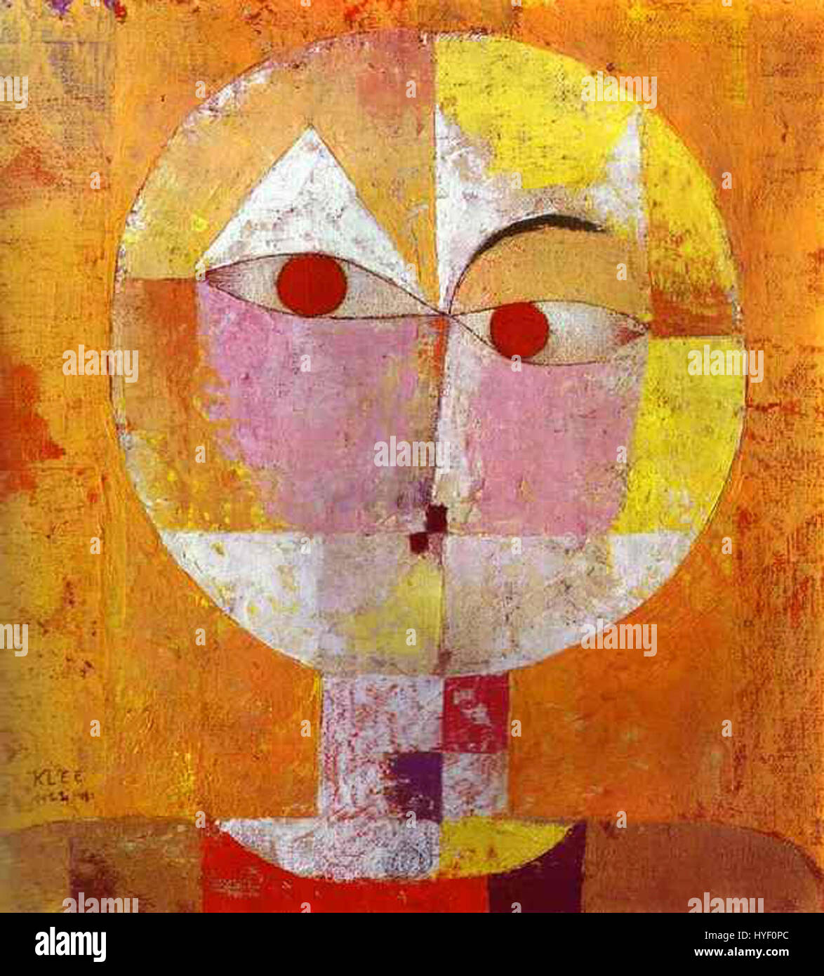 Senecio è un genere di piante in fiore della famiglia delle Asteraceae, noto per i loro vibranti fiori gialli e bianchi. Queste piante si trovano comunemente nelle regioni temperate, e molte specie sono utilizzate nel giardinaggio ornamentale. I loro fiori luminosi sono popolari nelle composizioni floreali e nei disegni del giardino. Foto Stock