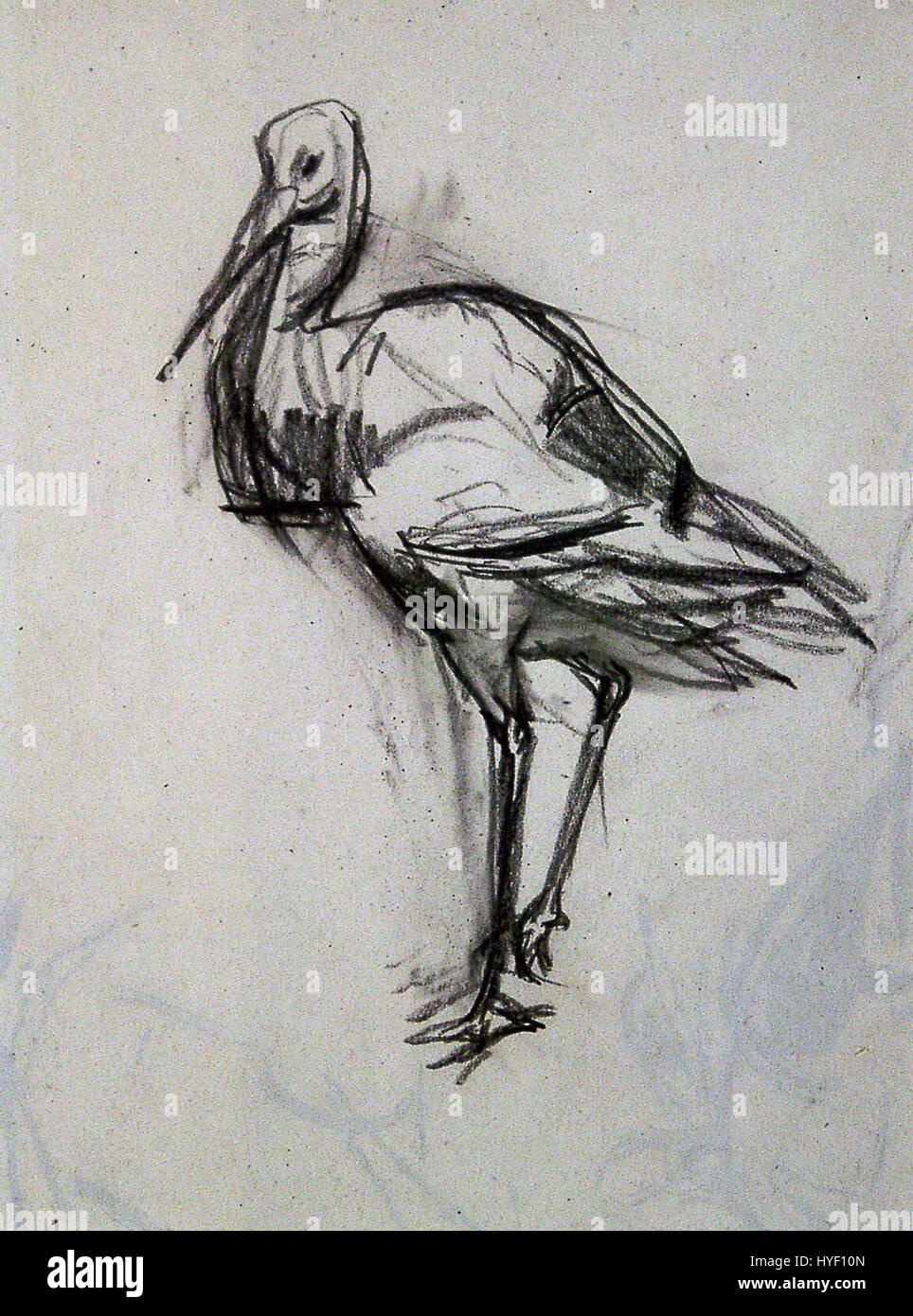 "Cicogna" di Joseph Crawhall è una stampa dettagliata che raffigura l'uccello nella sua posa naturale. Noto per il suo lavoro nel genere delle stampe animali, le cicogne di Crawhall sono spesso caratterizzate dal loro intricato lavoro di linea e si concentrano sulla rappresentazione naturalistica ma stilizzata della fauna selvatica. Foto Stock