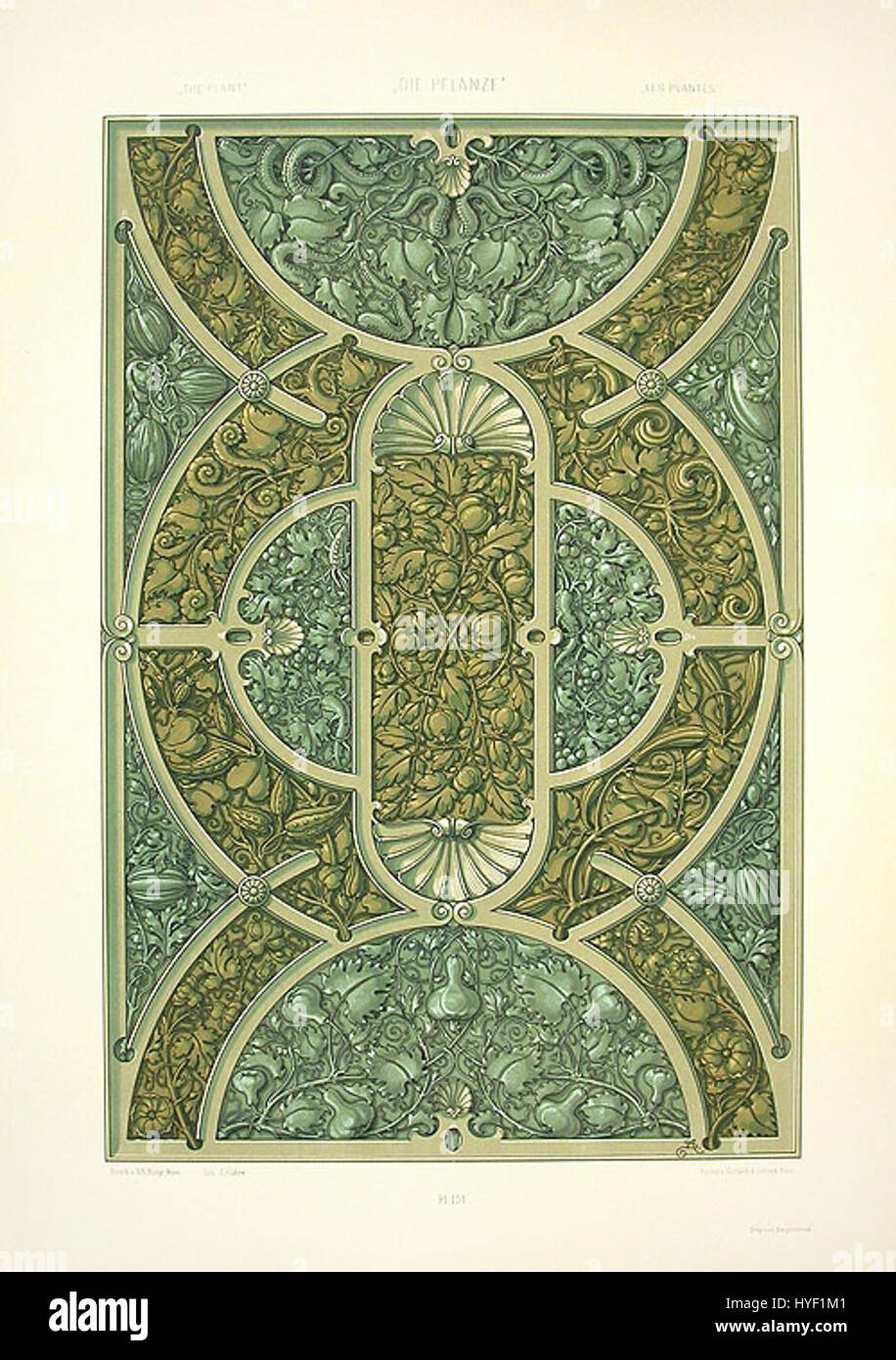 Anton Seder era un artista e designer tedesco noto per le sue opere ornamentali, in particolare nel campo dell'art nouveau. I suoi complessi disegni spesso presentavano forme naturali e furono utilizzati nelle arti decorative durante la fine del XIX secolo. Foto Stock