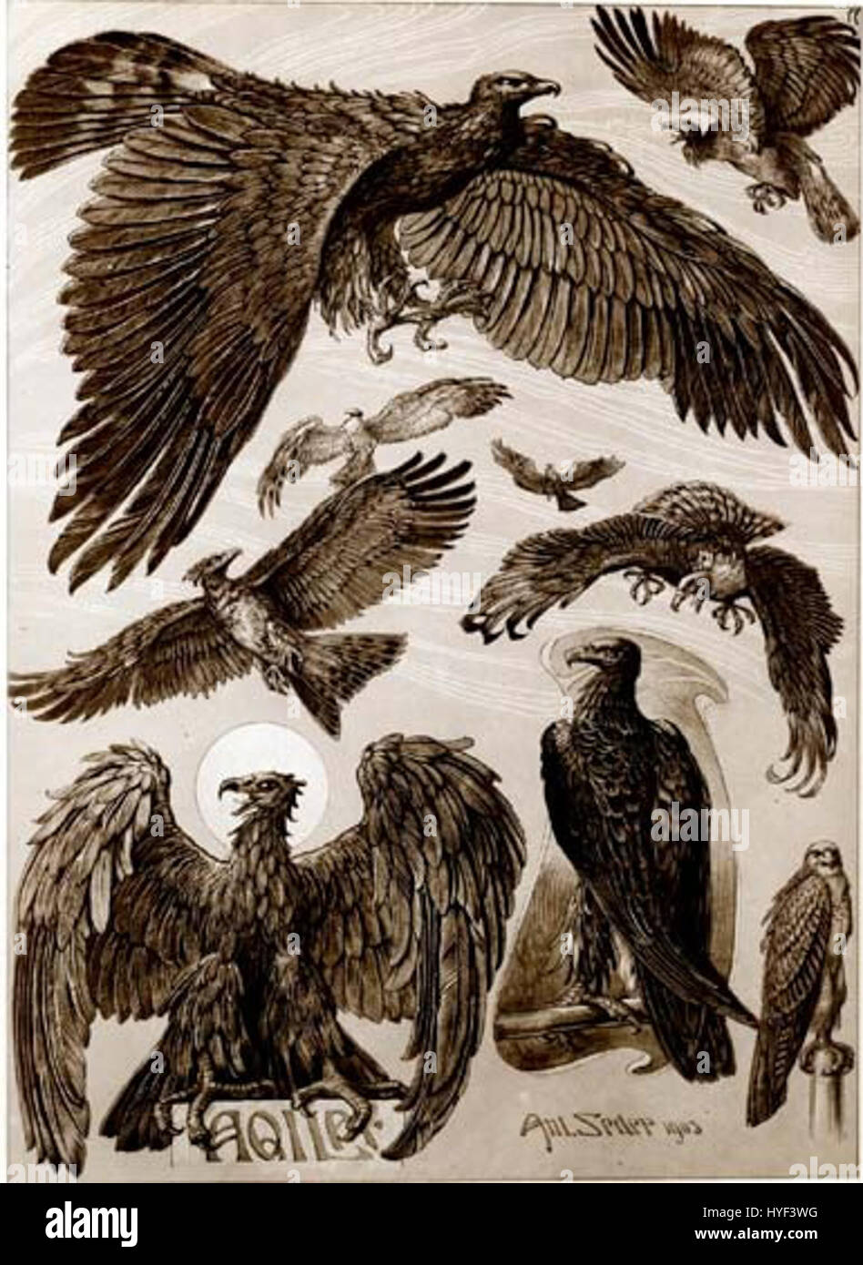 «Adler» di Anton Seder (che in tedesco significa «Aquila») è un esempio lampante di design Art Nouveau, incentrato su motivi naturali e forme intricate. Seder era noto per il suo uso simbolico degli animali, in particolare degli uccelli, nelle sue opere decorative. Foto Stock
