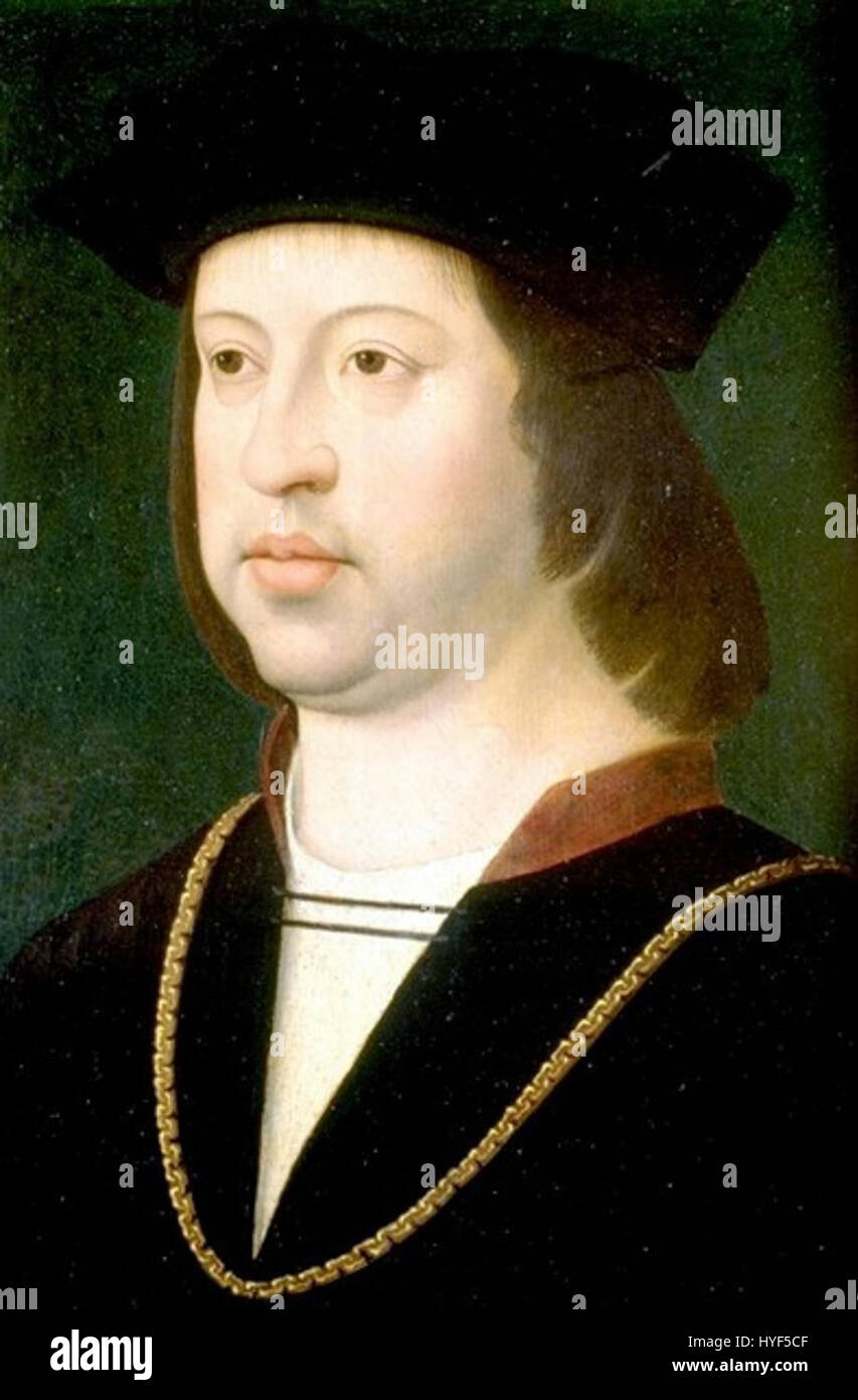Ferdinando II d'Aragona, noto come Ferdinando il cattolico, fu una figura chiave nell'unificazione della Spagna. Il suo matrimonio con Isabella i di Castiglia portò alla creazione di una monarchia spagnola unita, giocando un ruolo significativo nel completamento della Reconquista e nel sostegno dei viaggi di Cristoforo Colombo. Foto Stock