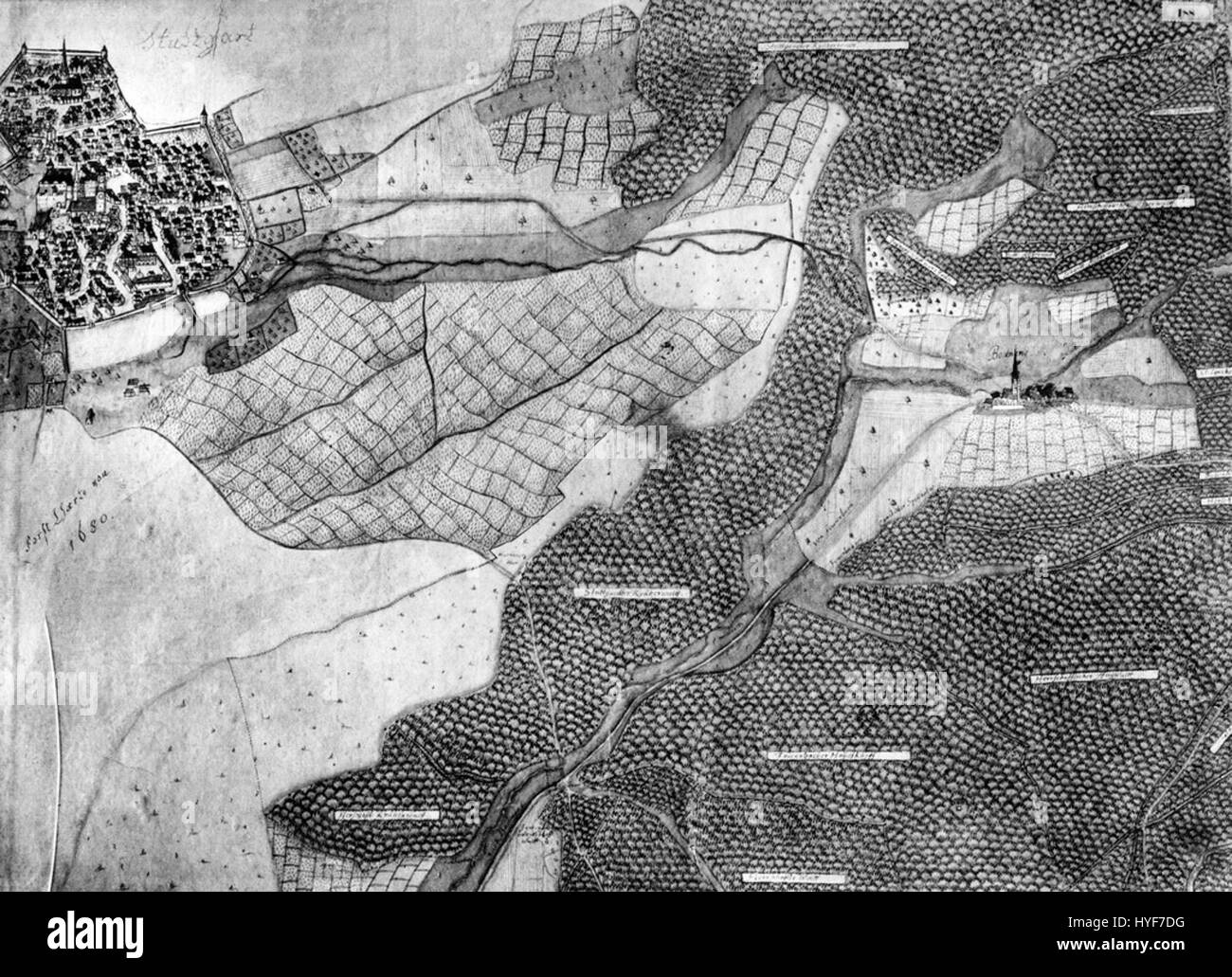Kiesersche Forstkarte No. 188 è una vecchia mappa forestale della regione Botnang di Stoccarda, che mostra topografia dettagliata e le pratiche di gestione forestale del tempo. Questo documento storico riflette la precisione e l'accuratezza della cartografia del XVIII secolo nella gestione delle foreste. Foto Stock
