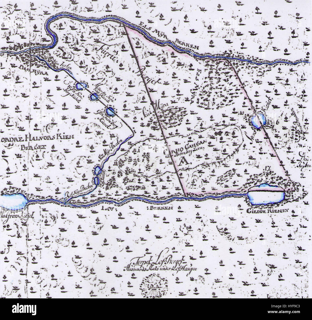 Questa mappa del 1739 fornisce una rappresentazione dettagliata di una regione storica, mostrando caratteristiche geografiche e confini politici del tempo. La mappa funge da importante documento della cartografia del XVIII secolo, che riflette la conoscenza e l'esplorazione del periodo. Foto Stock