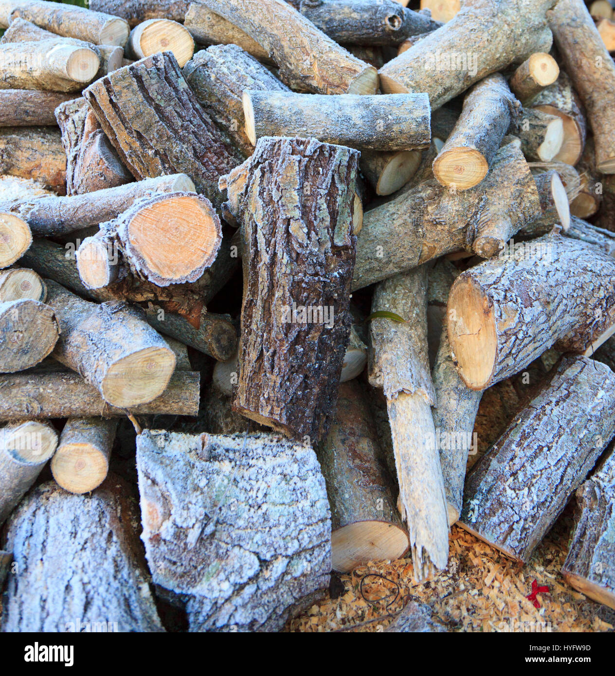 Un palo di legno coperto di brina Foto Stock