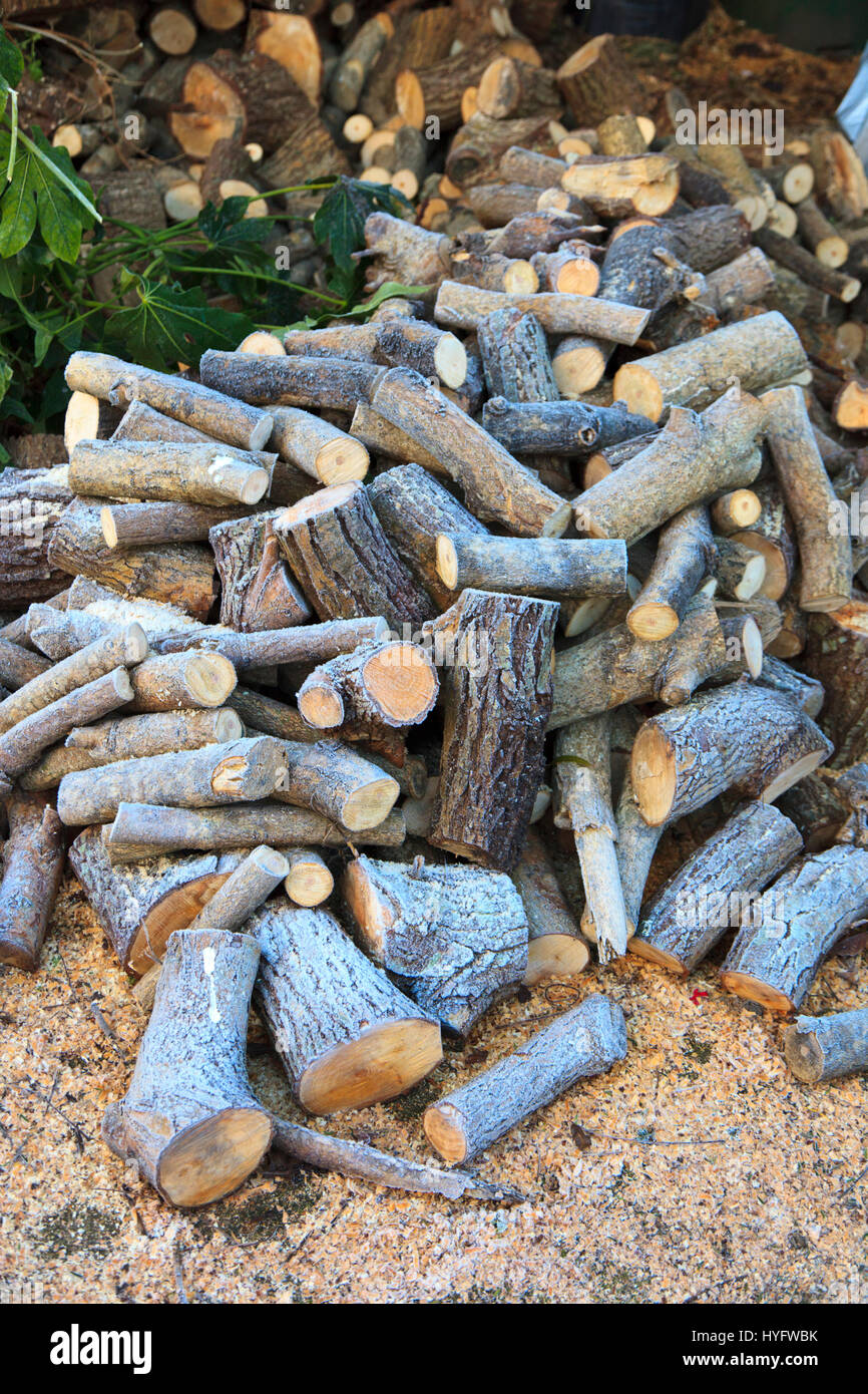 Un palo di legno coperto di brina Foto Stock