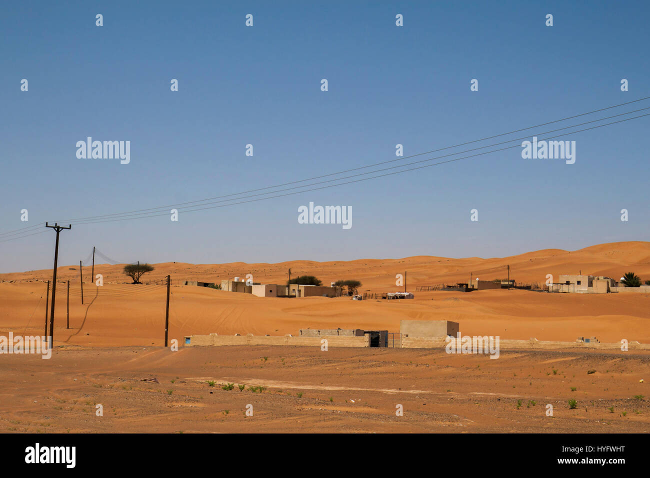 Oman deserto fauna selvatica e Oasis Foto Stock