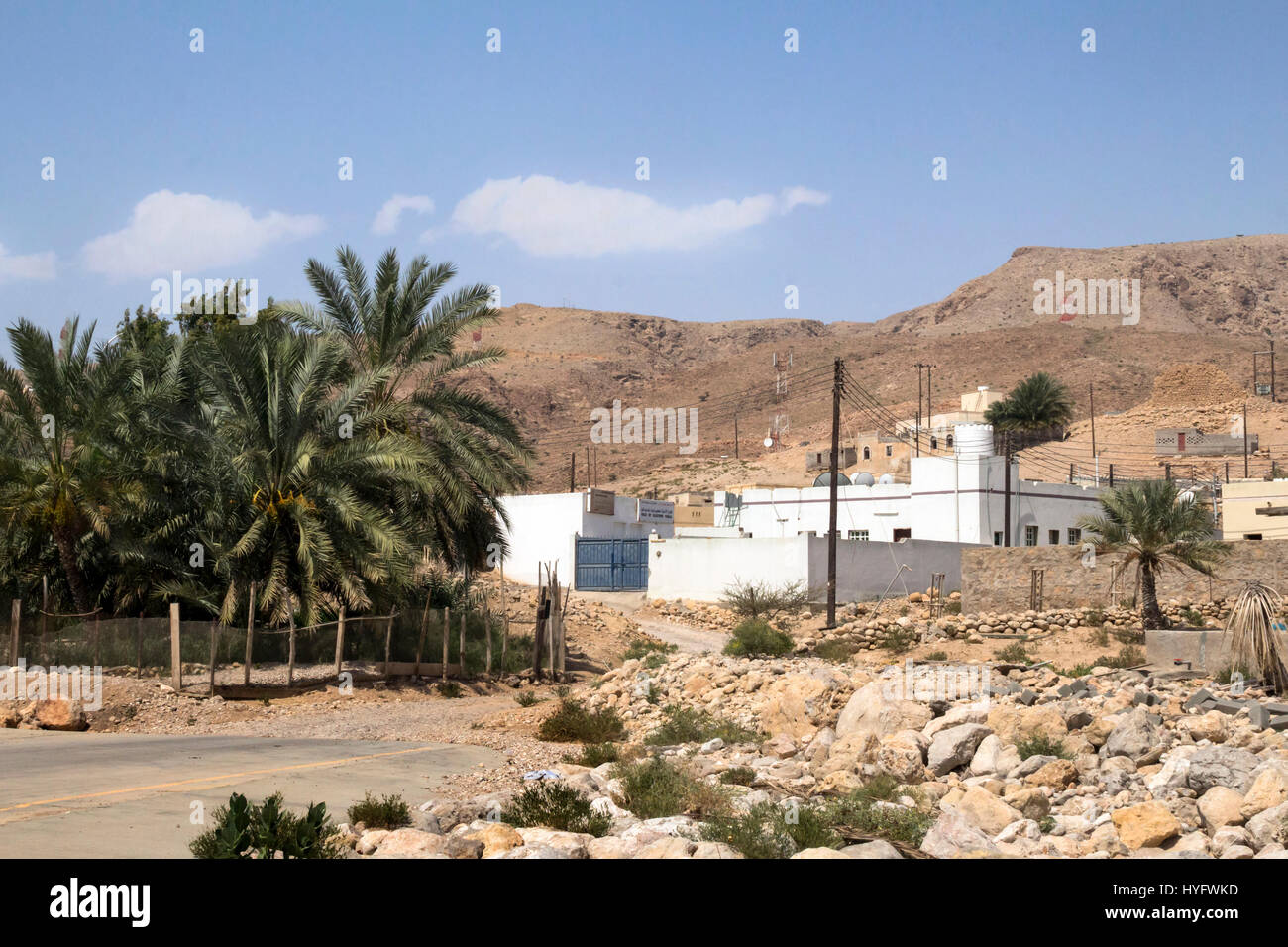 Oman deserto fauna selvatica e Oasis Foto Stock
