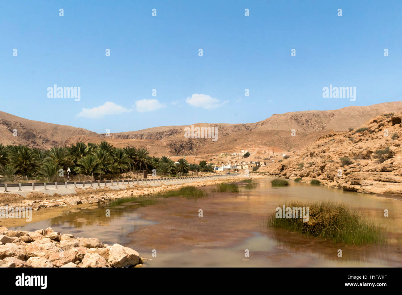 Oman deserto fauna selvatica e Oasis Foto Stock