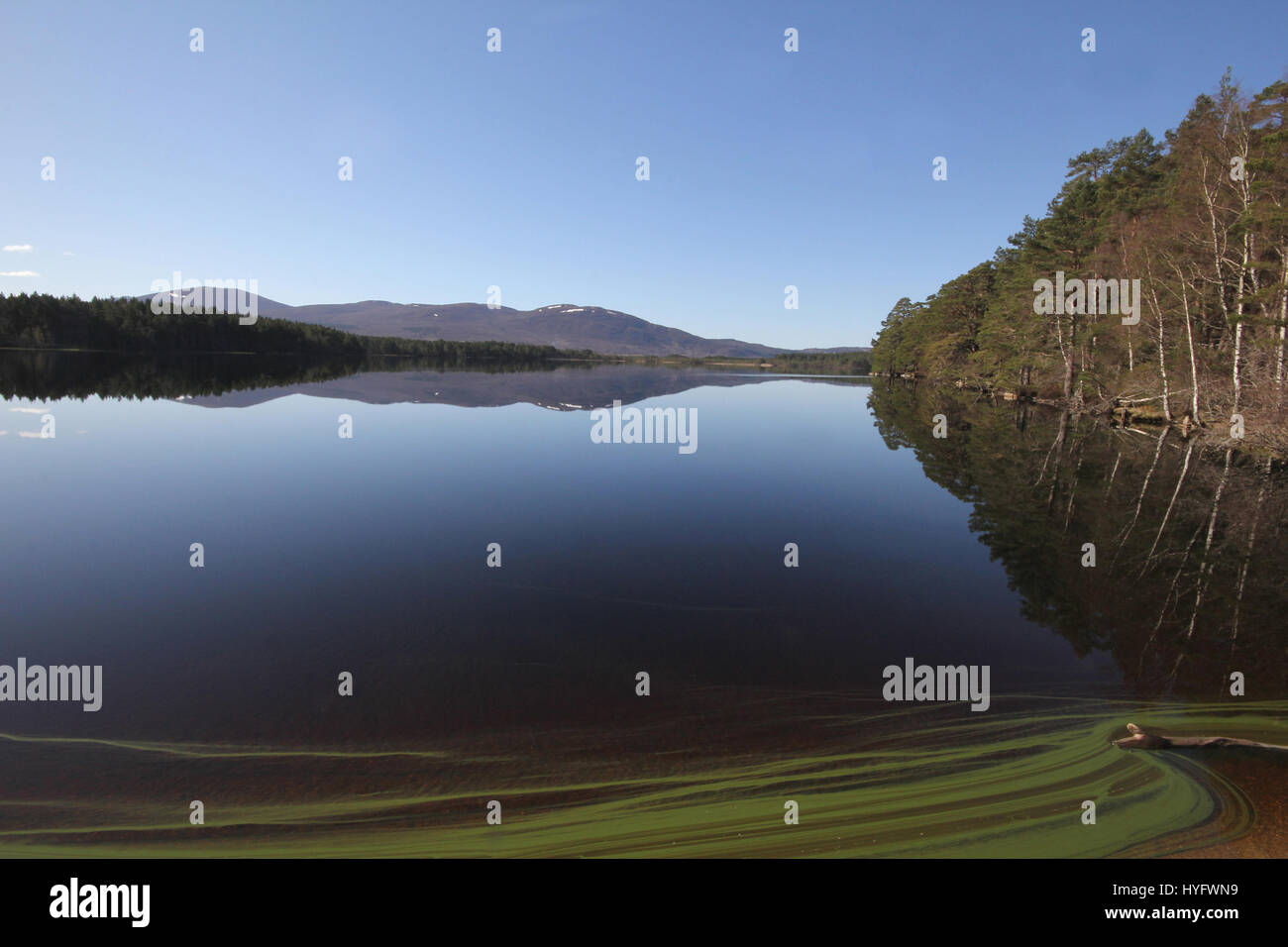 Loch Garten Speyside Foto Stock