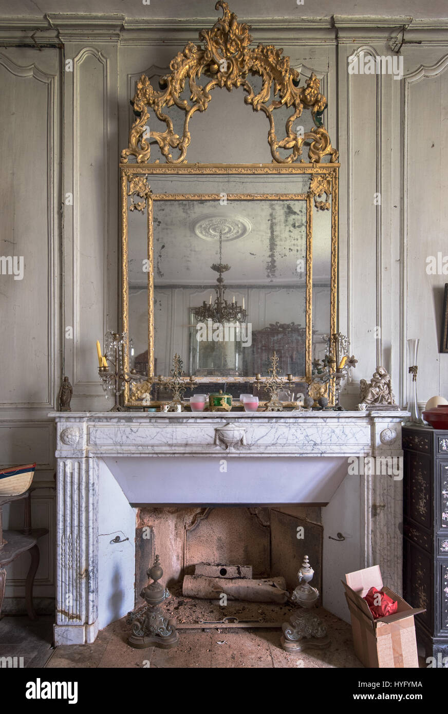 HAUNTING immagini rivelano la straordinaria di tassidermia e raccolta di pistola lasciati marcire nelle rovine di un abbandonati castello francese che potrebbe essere stato abbandonato negli ultimi sei decenni. Eye-opening fotografie visualizzare l'animale spooky ornamenti sparsi in tutto il grande palazzo abbandonato come ben come i fucili e munizioni che avrebbe potuto essere utilizzato su Safari per il danno loro la caccia. Catturato da esploratore urbano Florian Michaud, 30, queste fotografie includono le tartarughe ripiene, coccodrilli, uno squalo, un cobra e mongoose combattendo ogni altro, un anatra, pesce, coniglio, antilopi, peacock e un cervo alla testa. Dall'ag Foto Stock