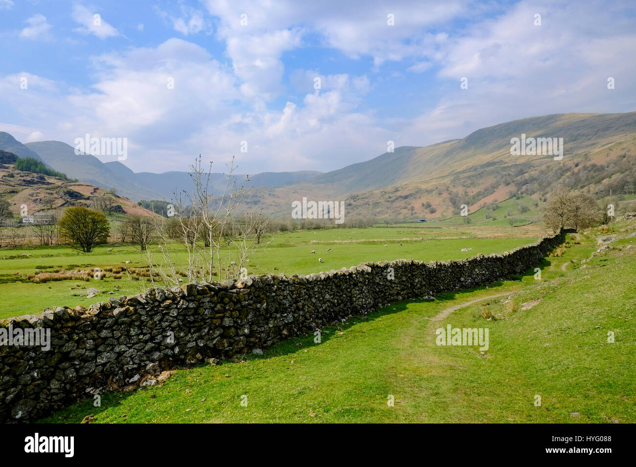 Visualizzare attraverso i campi verso le montagne in background nel distretto del lago vicino a Kendal dotato di un tradizionale parete stalattite Foto Stock