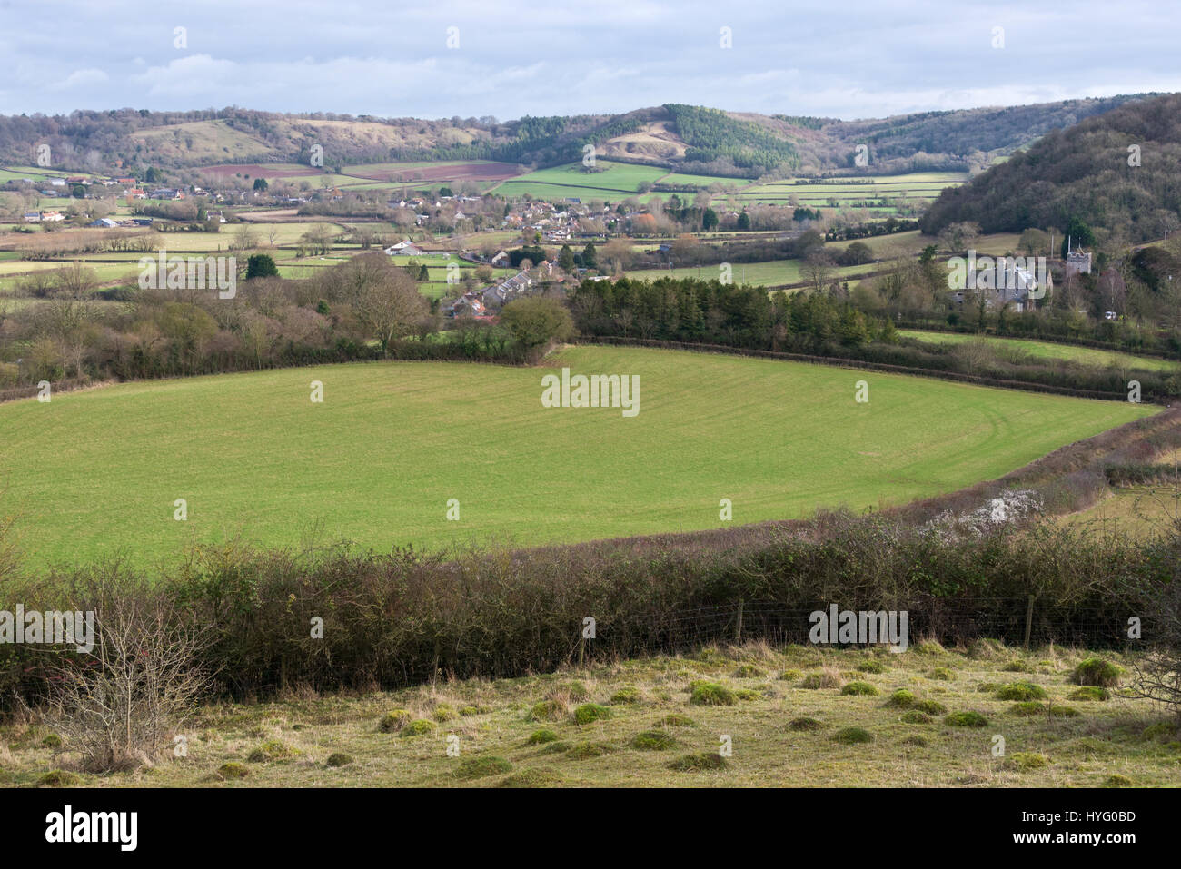 La magnifica vista di tutta la Somerset livelli da Lollover Hill guardando a nord verso le colline Polden Foto Stock