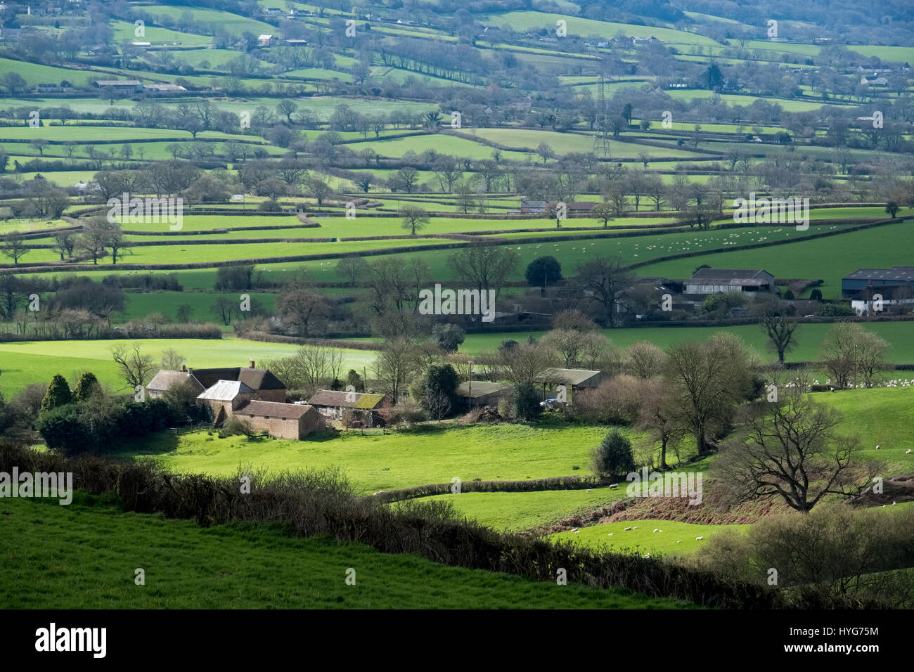 Vista panoramica del paesaggio ondulato di Somerset Foto Stock