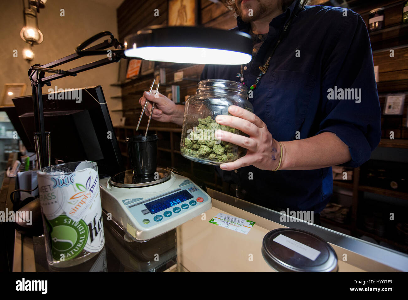 Un dispensario lavoratore utilizza pinze in metallo per tirare le gemme della cannabis da un vaso di vetro su una scala per essere pesato in un dispensario in Colorado. Foto Stock