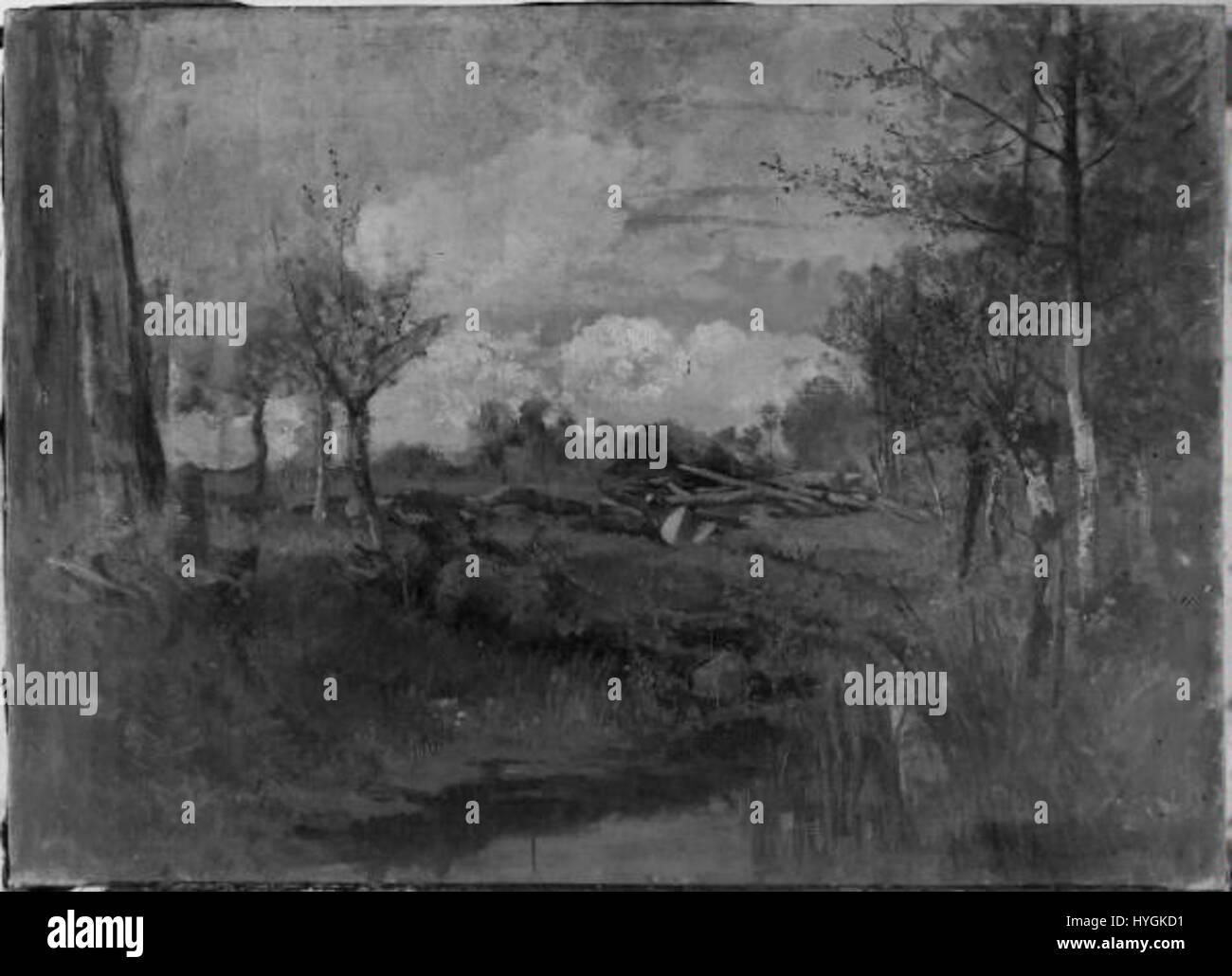 Questo dipinto intitolato "Na pokraji lesa" (ai margini della foresta) di un artista anonimo raffigura un paesaggio forestale sereno e misterioso. L'ambiente naturale sottolinea la transizione tra la terra coltivata e la natura selvaggia, invitando lo spettatore a contemplare l'essenza pacifica ma selvaggia dell'ambiente forestale. Foto Stock