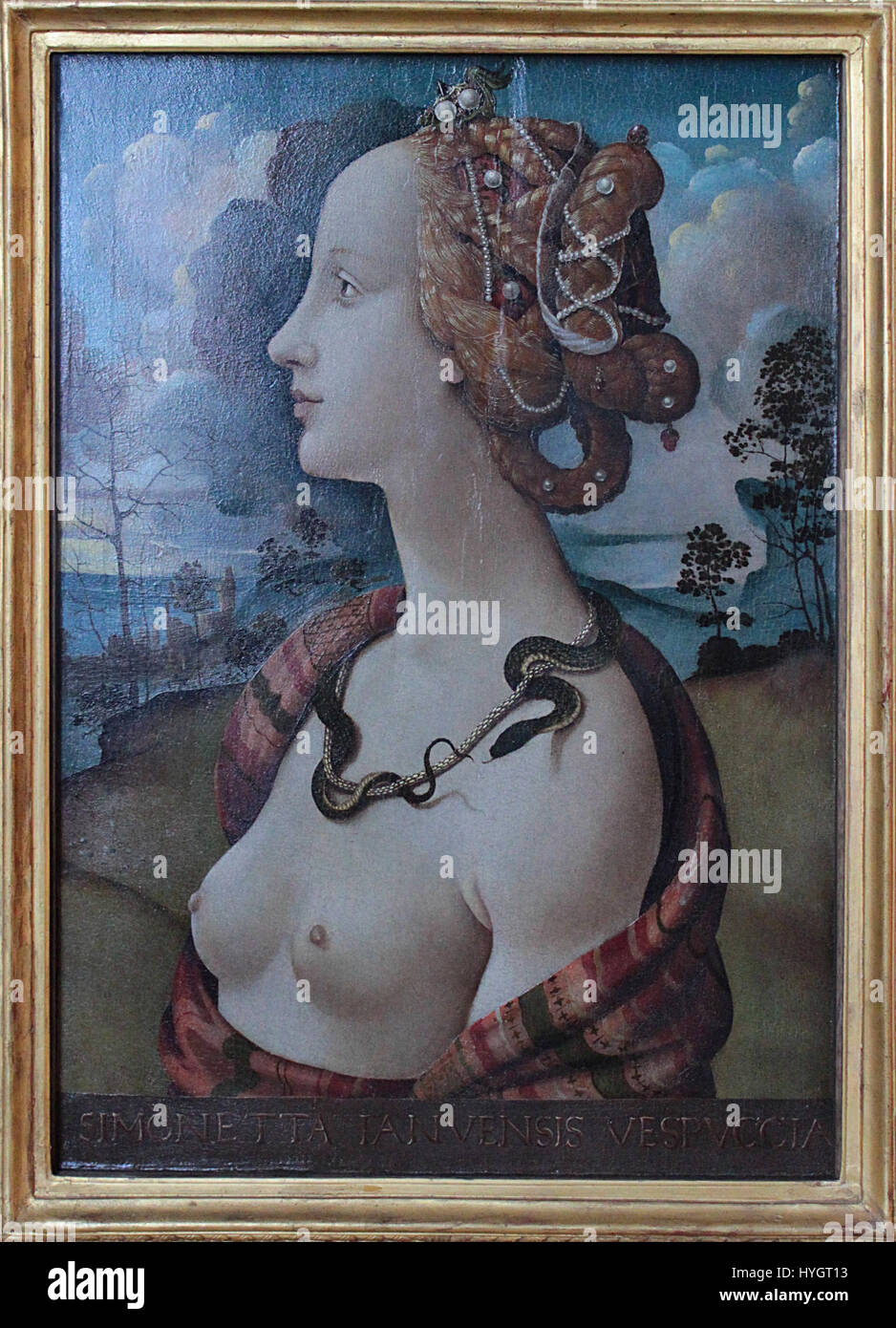 Il ritratto di Simonetta Vespucci di Piero di Cosimo, una rinomata bellezza e musa del Rinascimento, cattura l'eleganza e la grazia di questa influente figura. Il ritratto è notevole per i suoi dettagli raffinati e la rappresentazione idealizzata della sua bellezza. Foto Stock