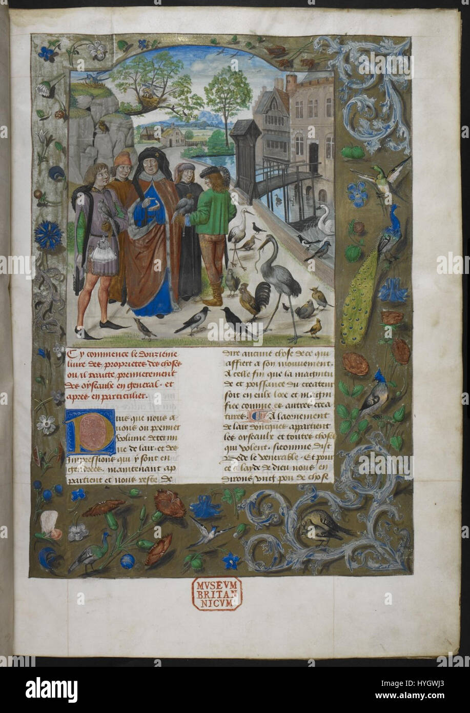 Questo manoscritto, noto come "Livre des proprietez des choses", è ospitato nella British Library (Royal 15 e III f11). Si tratta di un testo medievale che descrive vari aspetti della natura, della filosofia e della storia, offrendo una visione del pensiero intellettuale del XIV secolo. Foto Stock