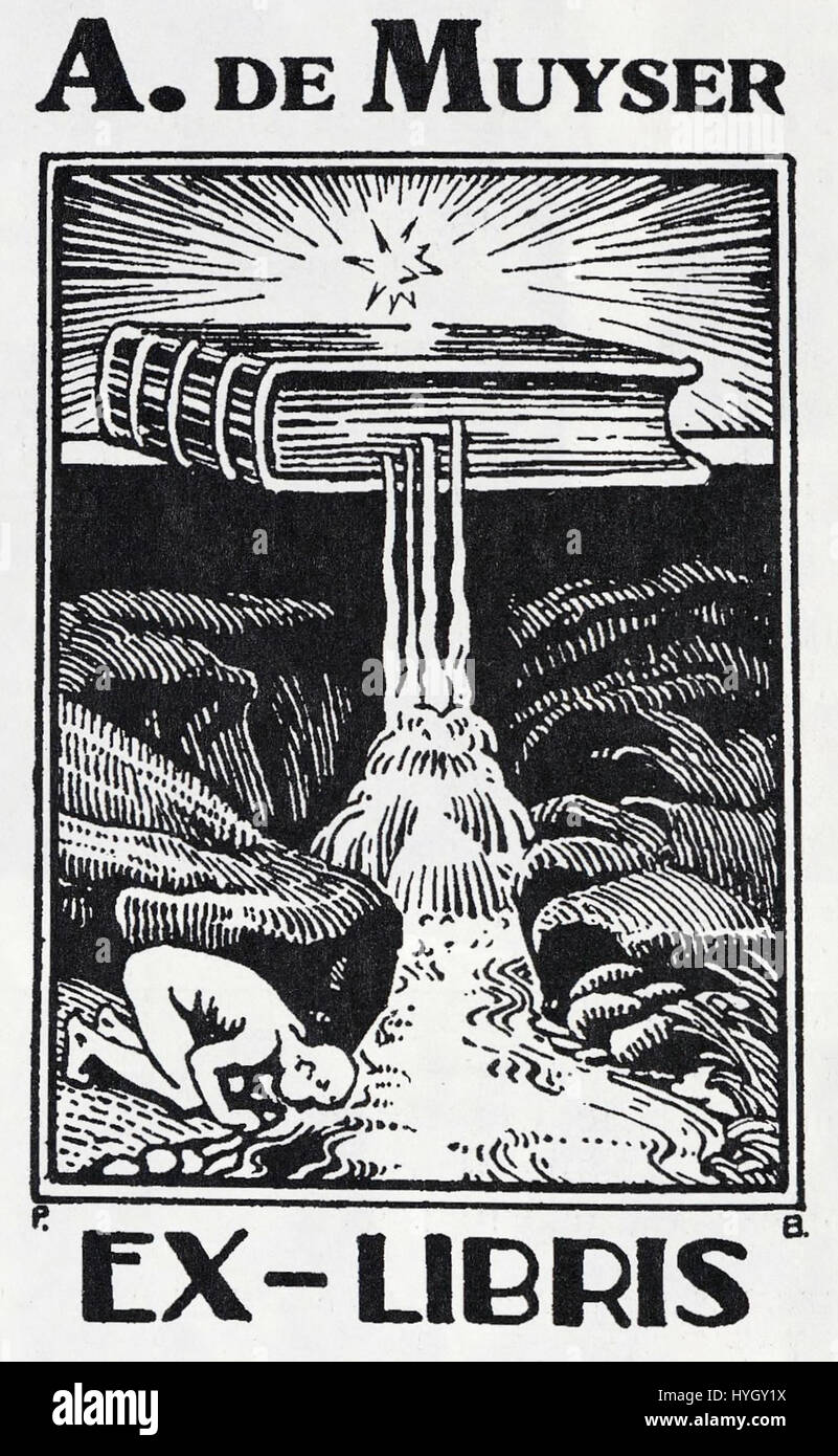 Questa libreria, progettata da Pierre Blanc per A. de Muyser, è un esempio di arte personalizzata utilizzata nella proprietà dei libri. Le librerie erano spesso disegni intricati che simboleggiavano l'identità personale e gli interessi letterari. Foto Stock