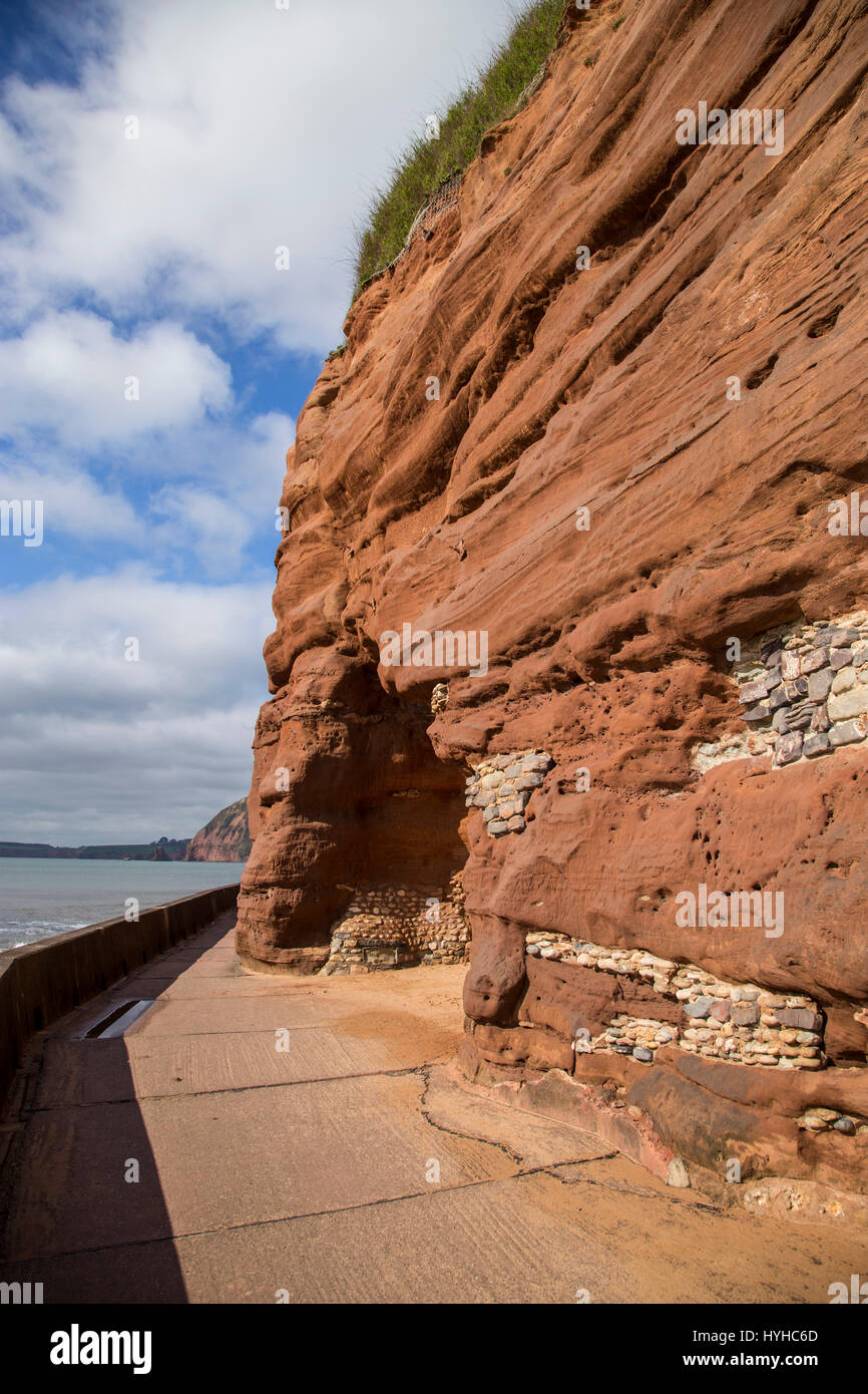 Il Clifton marciapiede sotto la pietra arenaria rossa scogliere a Sidmouth, nel Devon. Foto Stock