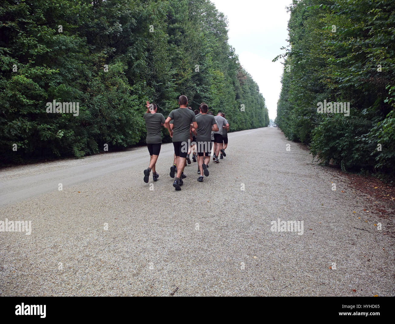 Austria, Vienna, basamento nel castello di Schonbrunn park Foto Stock