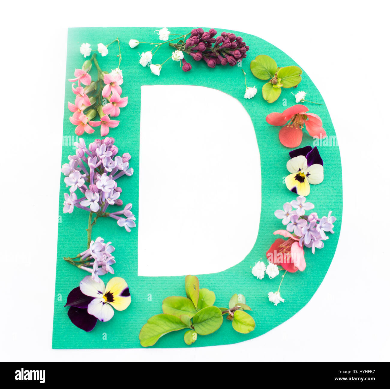 Lettera d fatto di fiori di primavera e la carta su sfondo bianco. Foto Stock