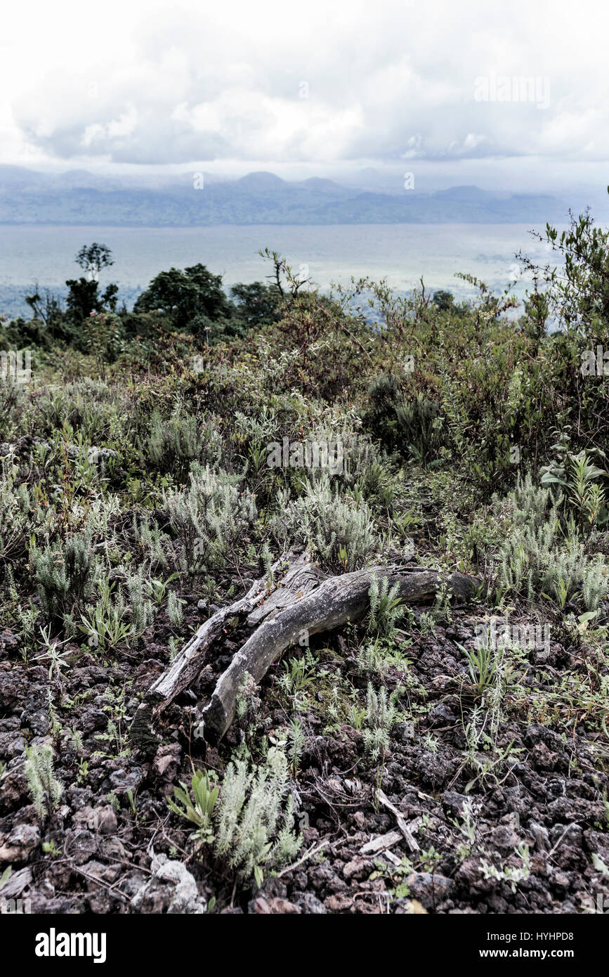 Nord Kivu, Repubblica democratica del Congo Foto Stock
