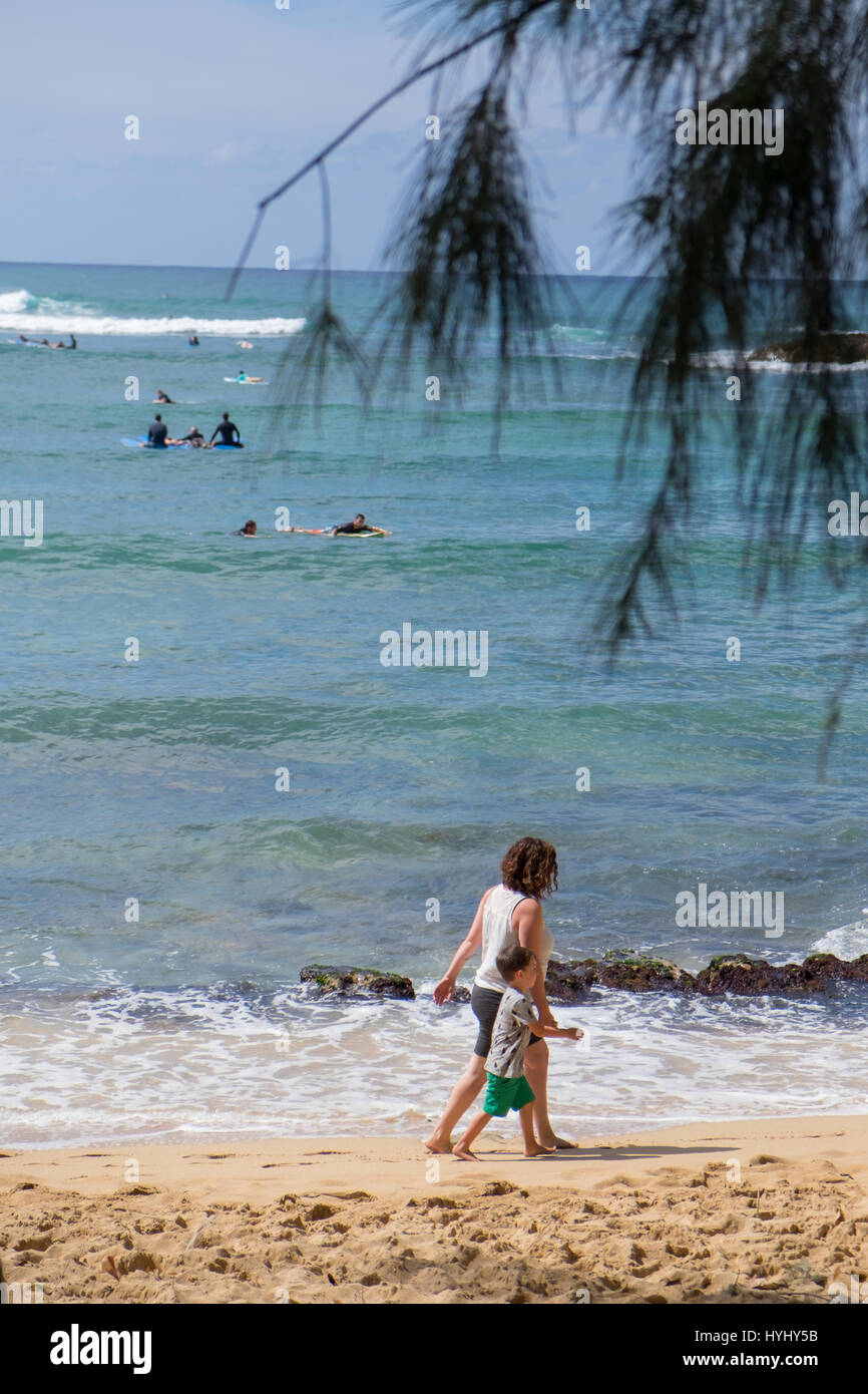 HALE'IWA, Oahu, HAWAII - Febbraio 23, 2017: giorno molto affollato con molti surfisti e scuole di surf in acqua la cattura di onde in Haleiwa Oahu Hawaii. Foto Stock