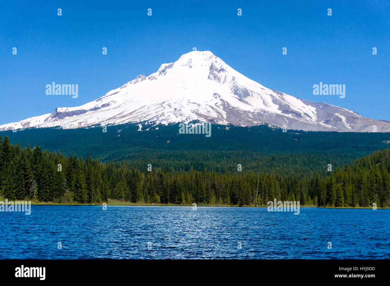 Vista di Trillium lago e monte Hood in Oregon Foto Stock