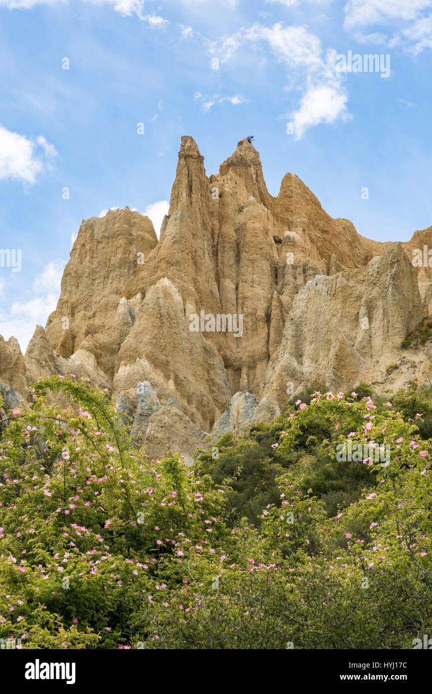 Le scogliere di argilla vicino a Omarama, formazioni rocciose, regione di Canterbury, Southland, Nuova Zelanda Foto Stock