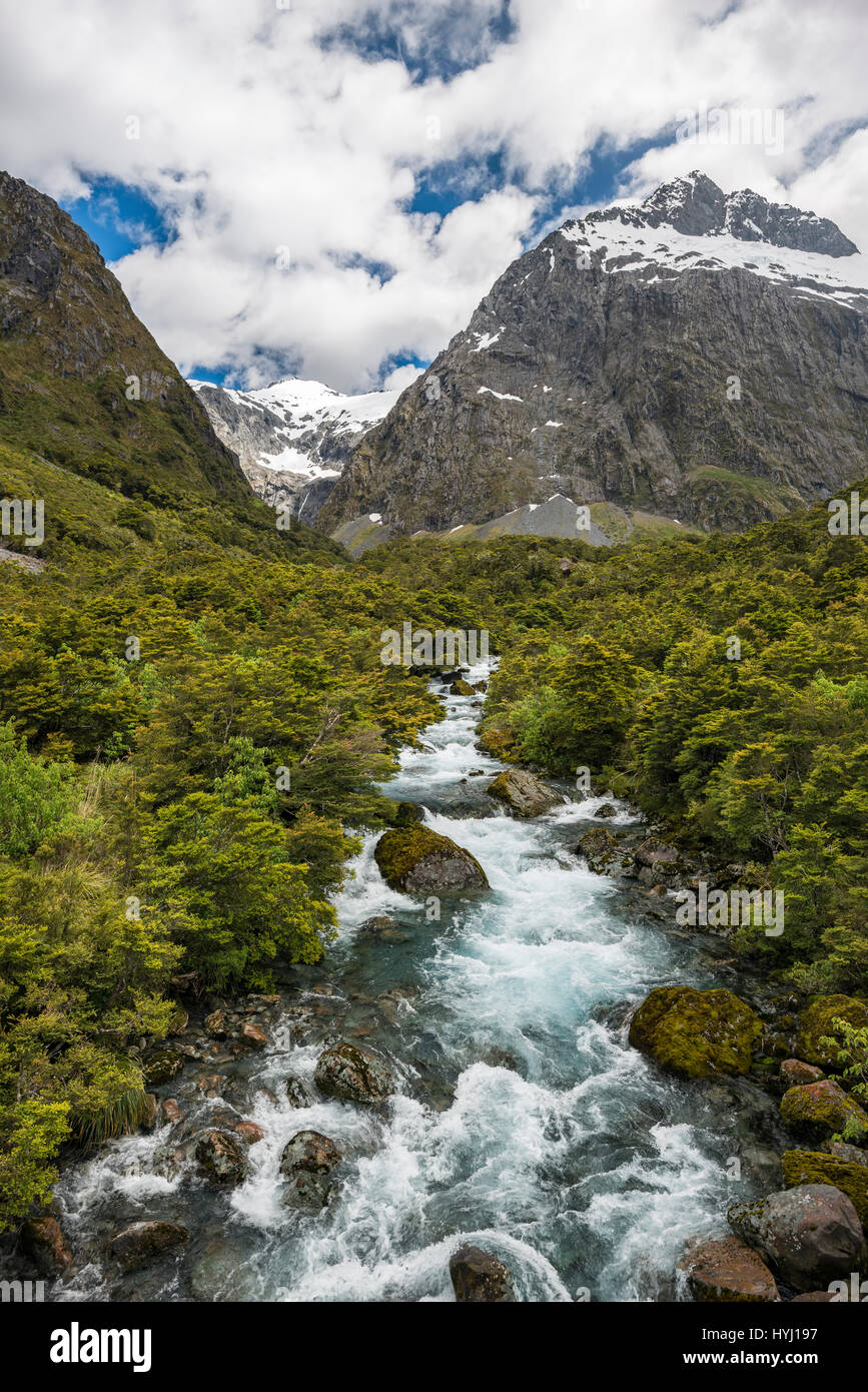 Hollyford fiume che scorre attraverso il Parco Nazionale di Fiordland, a montaggio posteriore Talbot, Milford Road, Southland, Nuova Zelanda Foto Stock
