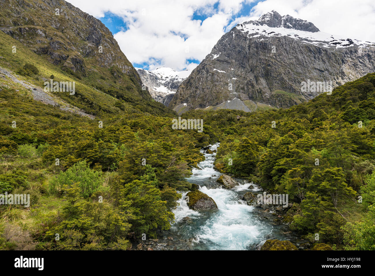 Hollyford fiume che scorre attraverso il Parco Nazionale di Fiordland, a montaggio posteriore Talbot, Milford Road, Southland, Nuova Zelanda Foto Stock