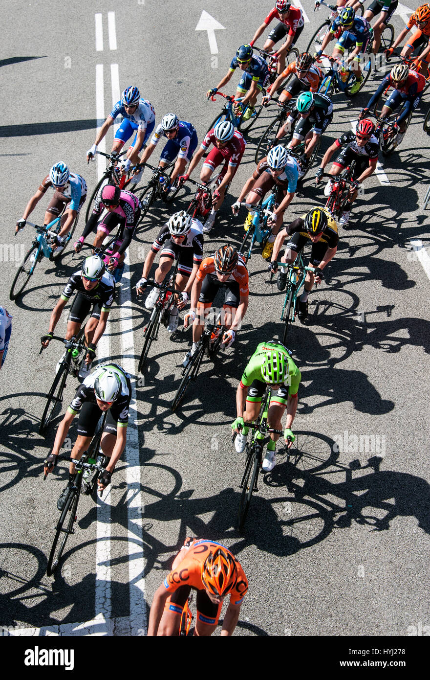 Corridori ciclisti, gruppo, volta a Catalunya 2017, volta de Catalunya, Barcelona, ​​Spain Foto Stock