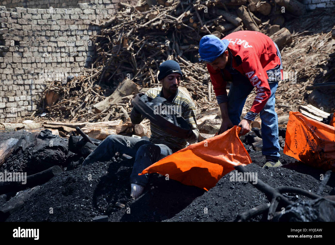 Il Cairo, Egitto. 3 apr, 2017. Lavoratori egiziani di raccogliere un carbone a un campo di lavoro in Zagazig, Governatorato Sharqiya, circa 62,5 km (38,8 miglia a nord-est del Cairo, il 5 aprile 2017 Credit: Sayed Amr/immagini APA/ZUMA filo/Alamy Live News Foto Stock