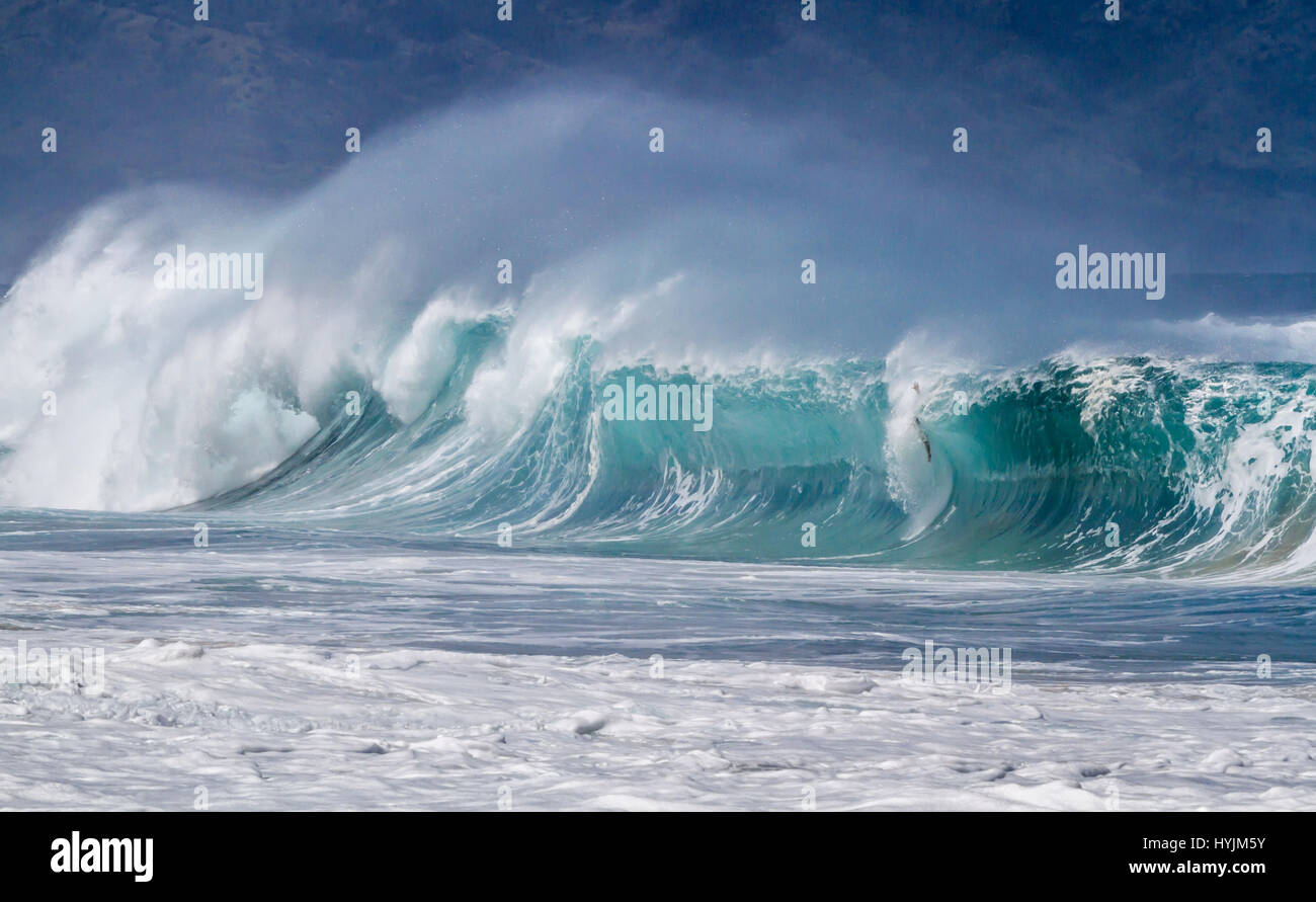 Un corpo del surfista su una gigantesca onda oceano sulla North Shore di Oahu Hawaii Foto Stock