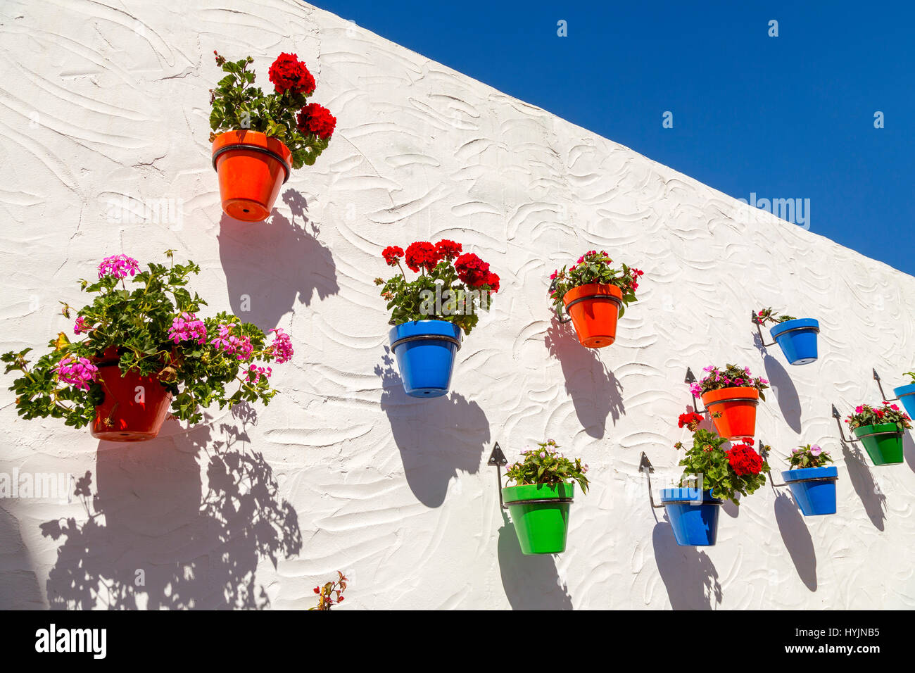 Vaso di fiori e parete bianca, Estepona. Malaga provincia Costa del Sol. Andalusia Spagna meridionale, Europa Foto Stock