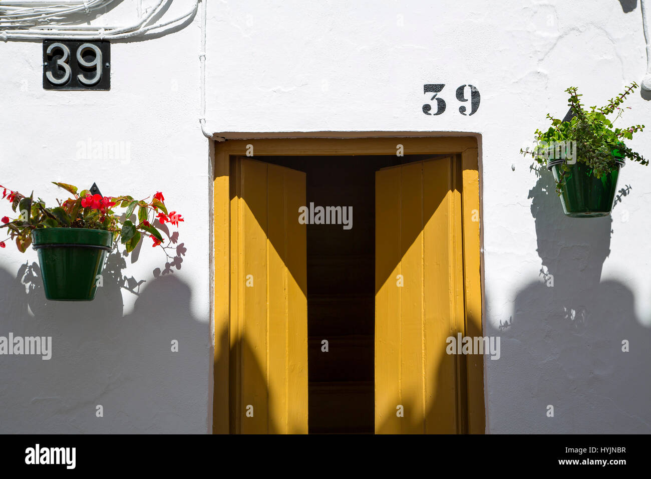 Vaso fiorito, porta e parete bianca, Estepona. Malaga provincia Costa del Sol. Andalusia Spagna meridionale, Europa Foto Stock