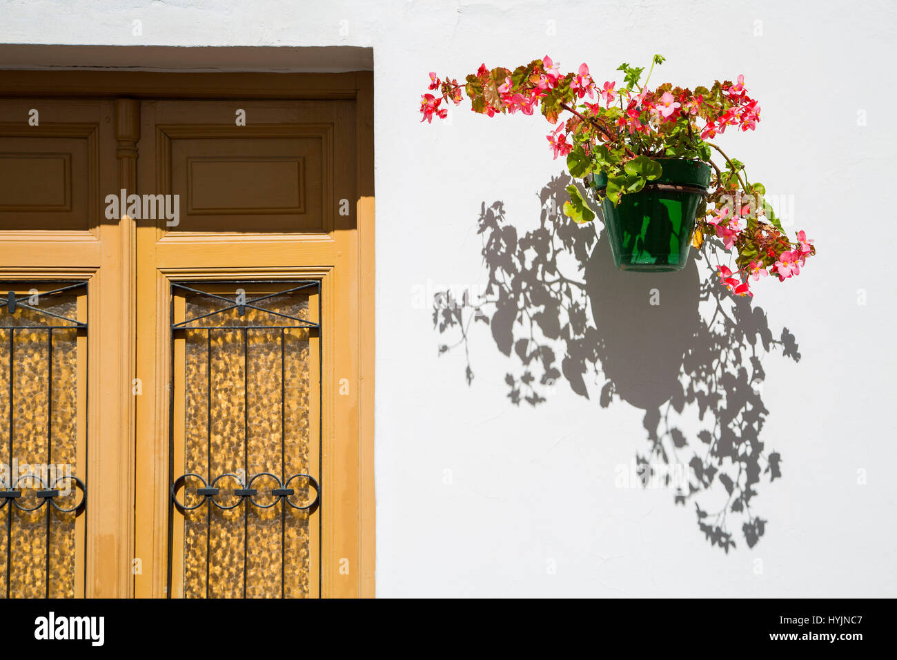 Vaso fiorito, porta e parete bianca, Estepona. Malaga provincia Costa del Sol. Andalusia Spagna meridionale, Europa Foto Stock