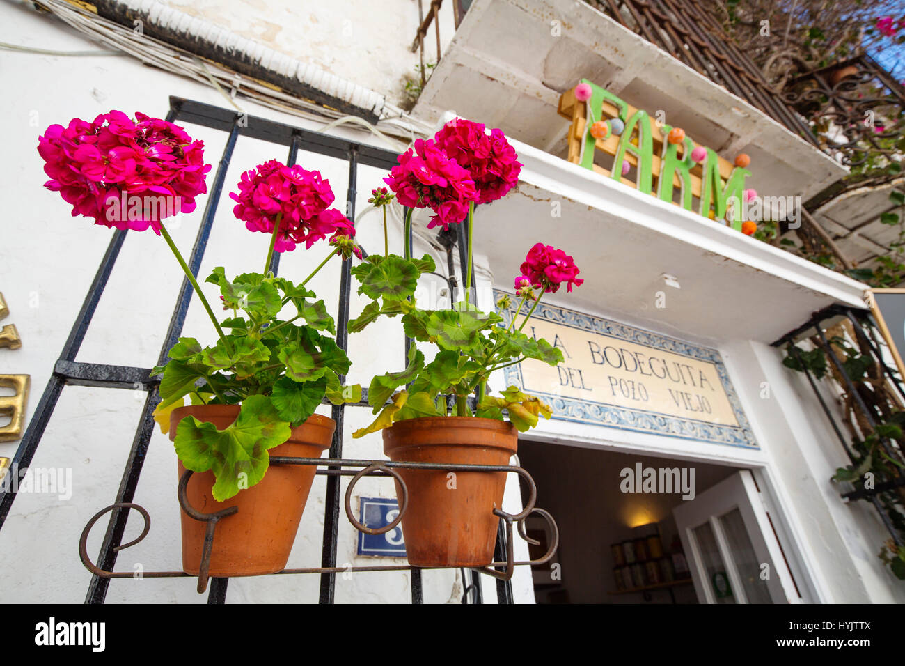 Vaso con fiori nel bar Ristorante La Bodeguita del Pozo Viejo, centro storico, Marbella. Provincia di Malaga Costa del Sol. Andalusia Spagna meridionale Foto Stock