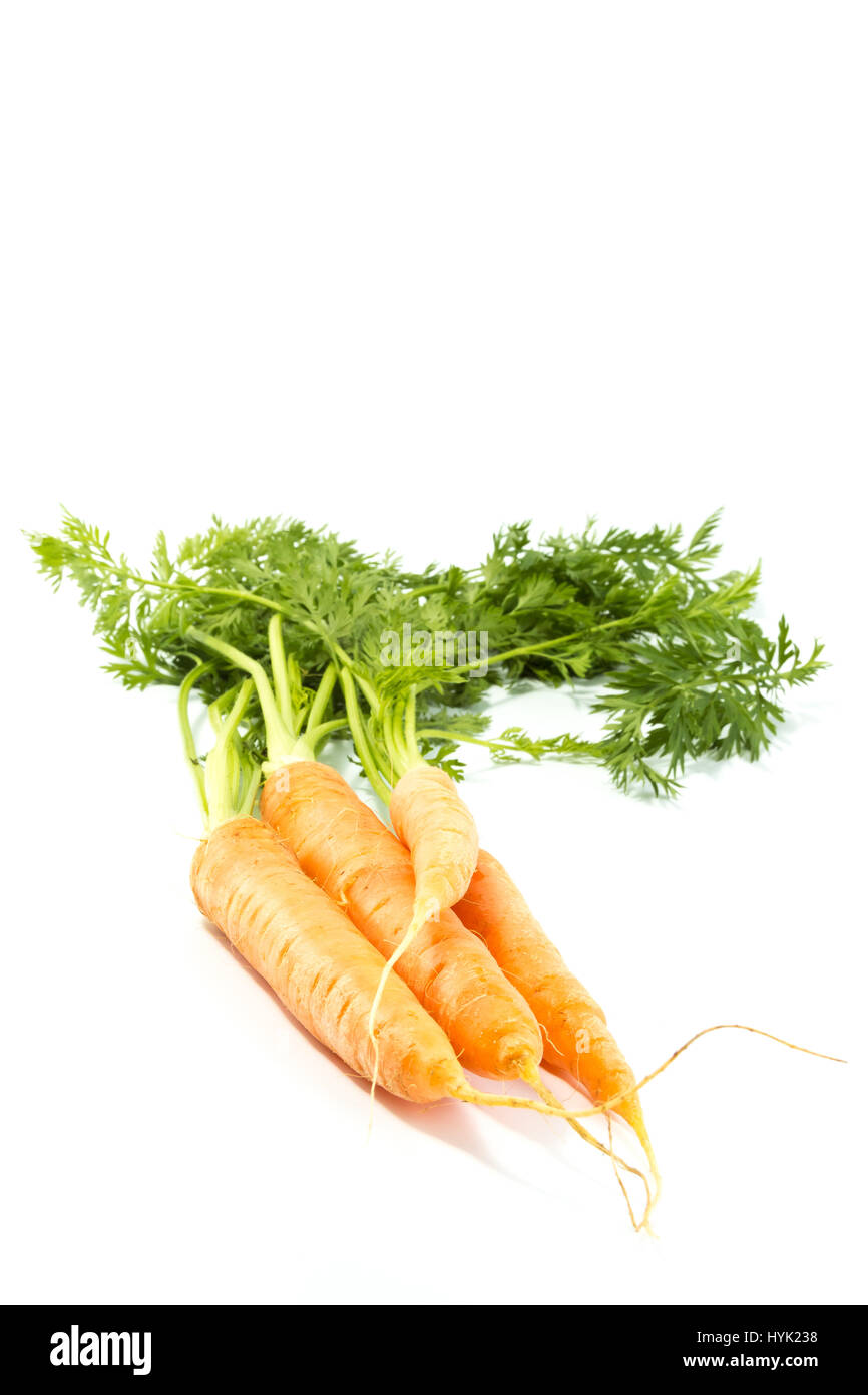Le carote fresche con cime di verde isolato su sfondo bianco Foto Stock