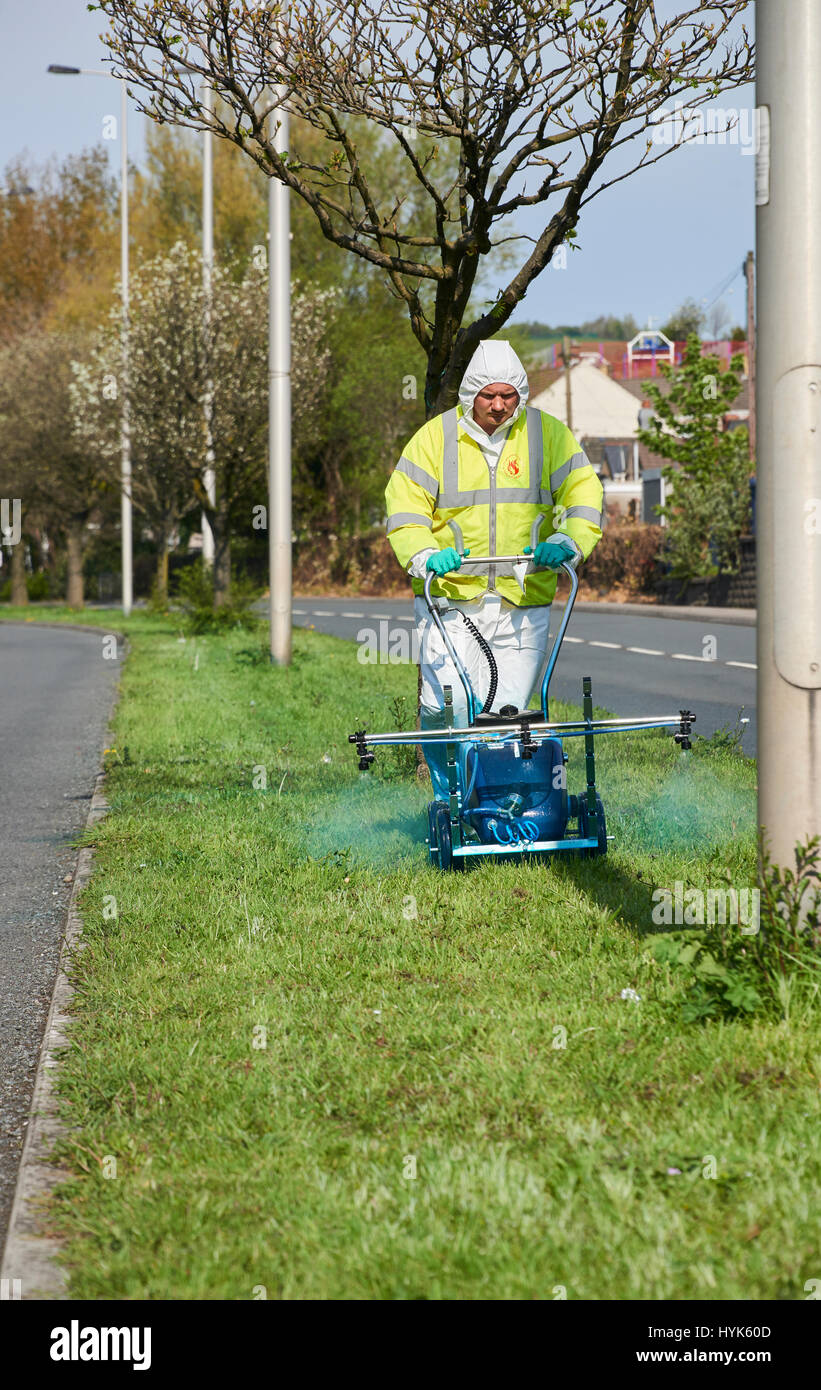 Pesticida essendo applicato alla centrale di prenotazione utilizzando una irroratrice walkover a Fabian Way Swansea. L'applicazione viene effettuata per sradicare v Foto Stock