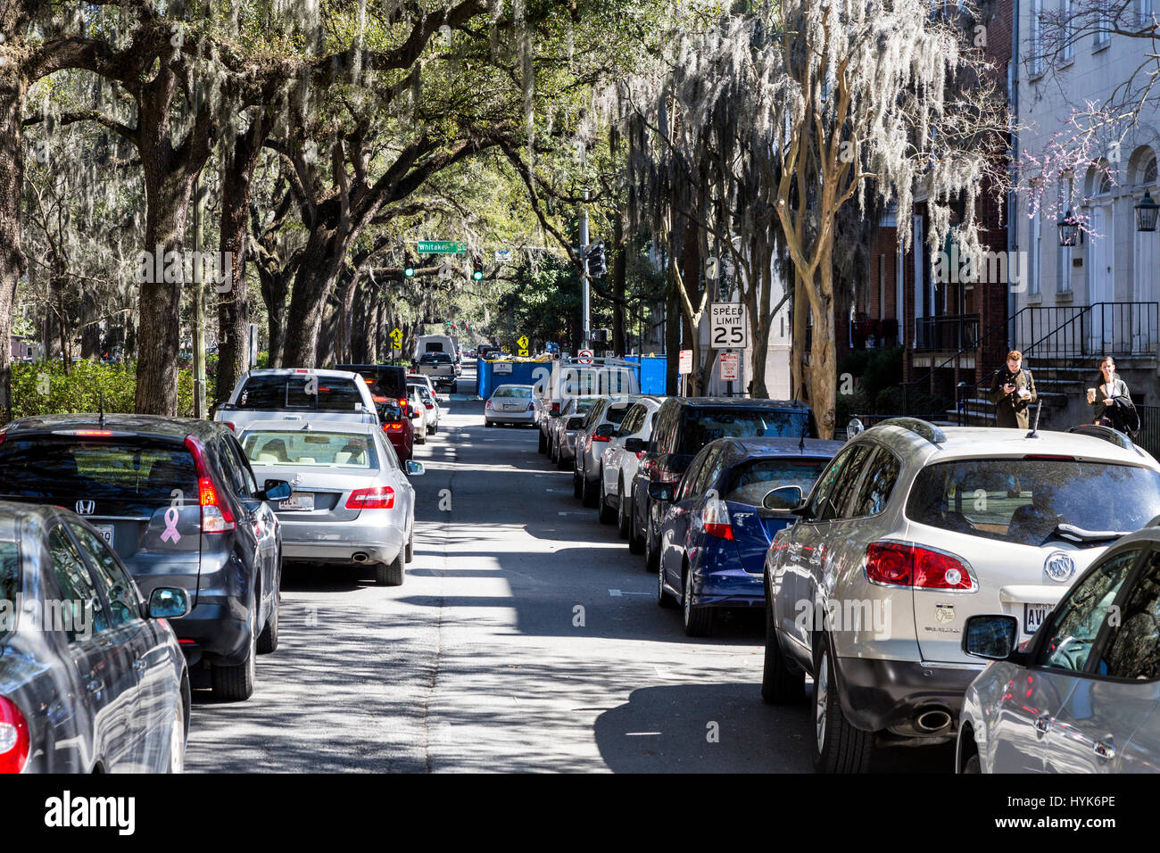 Savannah, Georgia. Scena di strada con muschio Spagnolo (Tillandsia usneoides). Foto Stock