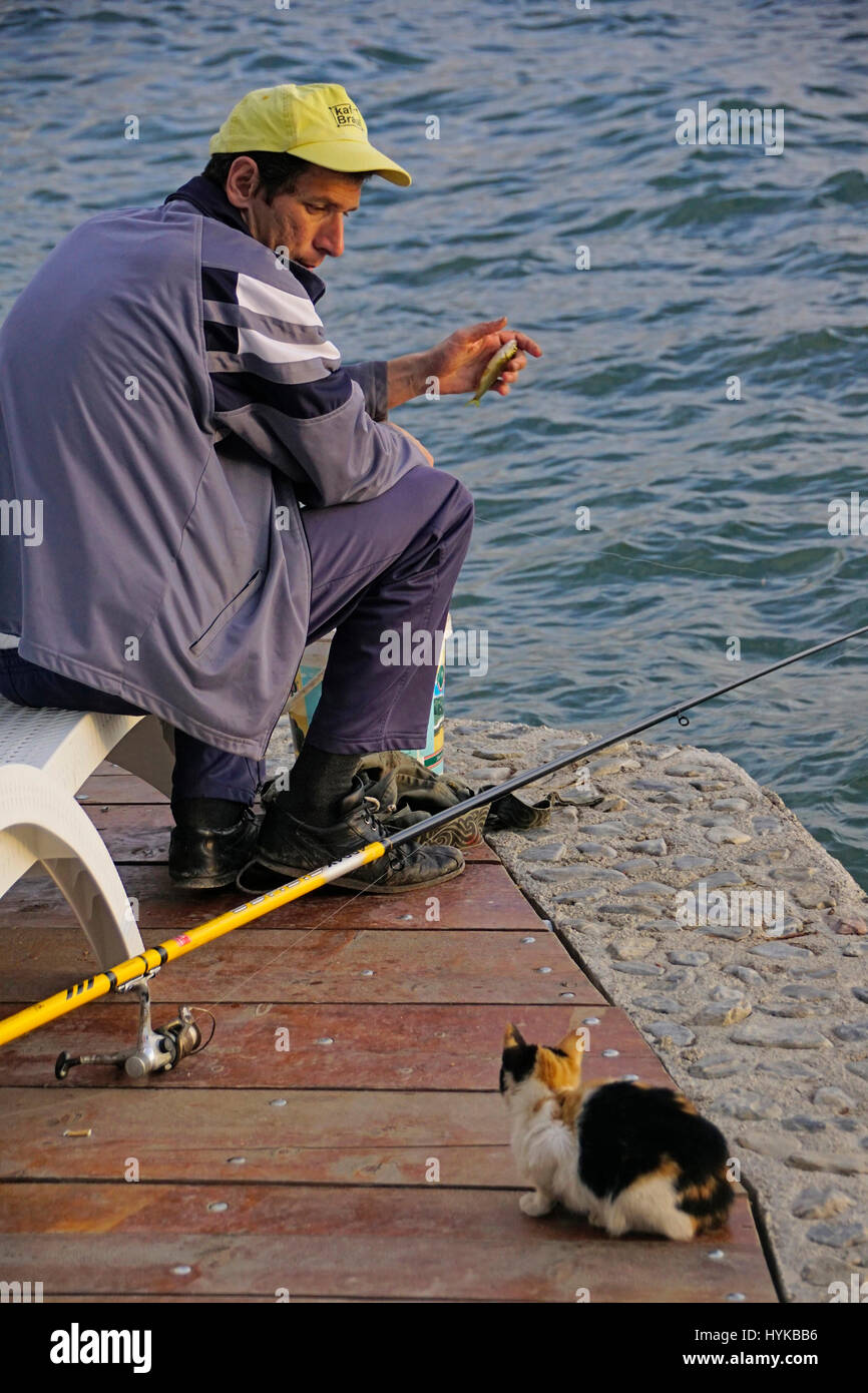 Pescatore con il trattamento per il gatto sul dock del lago di Ohrid Macedonia. Foto Stock
