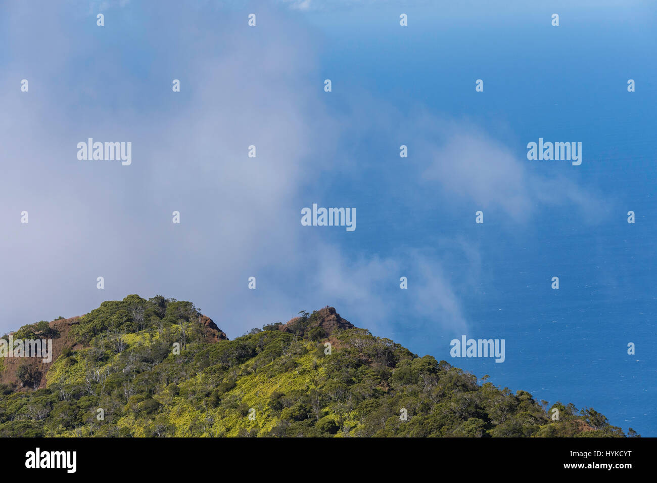 Montagne e l'oceano, Kalalau Lookout, Koke"e del Parco Statale di Kauai, Hawaii, STATI UNITI D'AMERICA Foto Stock