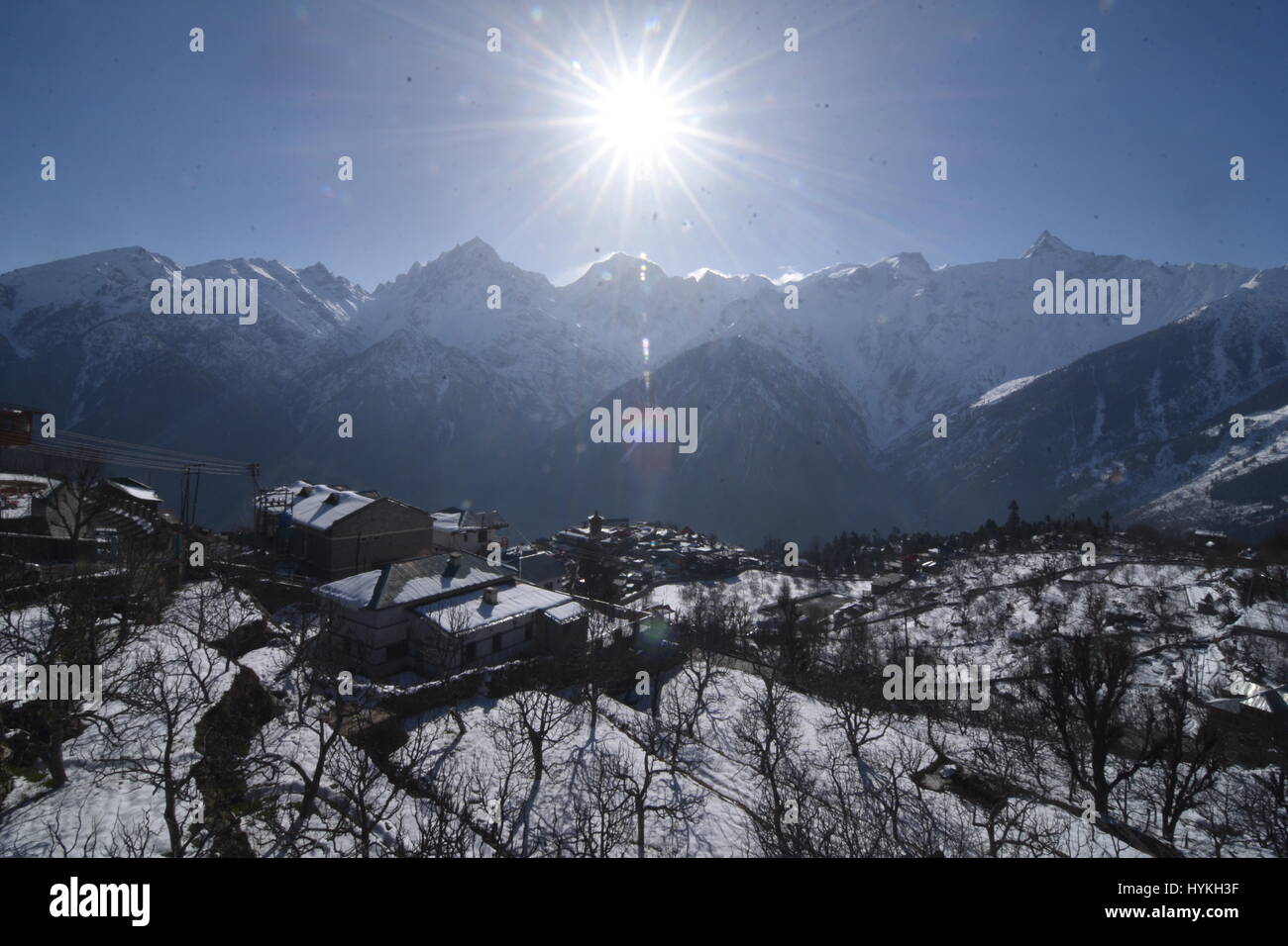 Paesaggio invernale, Kalpa, Kinnaur, Himachal Pradesh, India Foto Stock