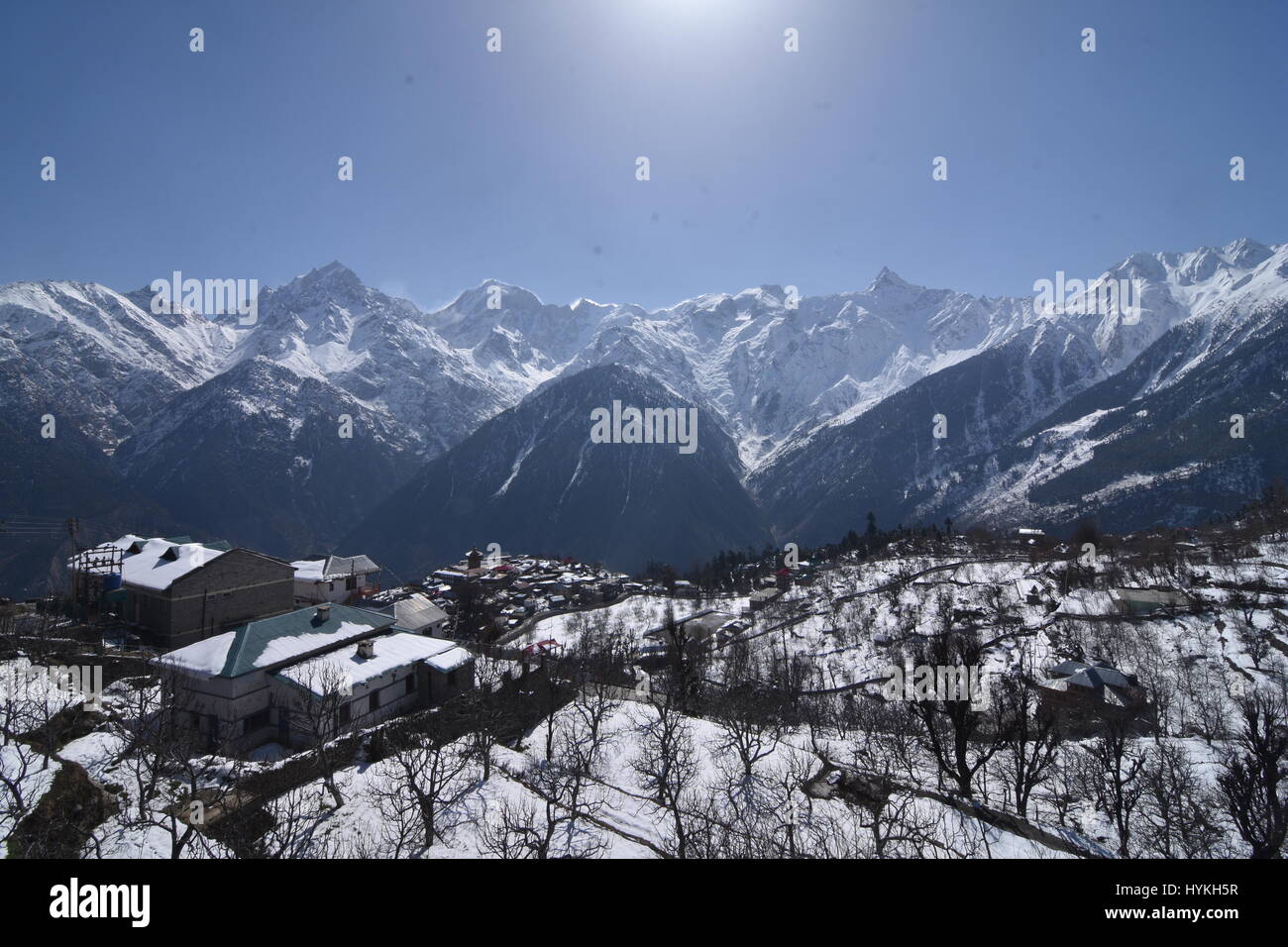 Paesaggio invernale, Kalpa, Kinnaur, Himachal Pradesh, India Foto Stock