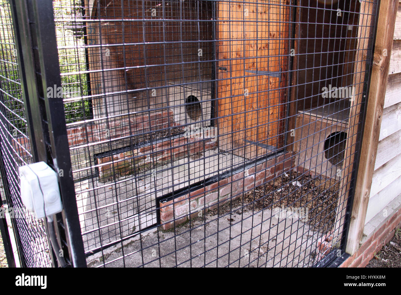 SHROPSHIRE, Regno Unito: cucce per le famiglie' cani. Il DELAPADATED resti di 'Assassinio mansion" dove il guasto di un uomo d affari ucciso sua moglie e sua figlia e impostare acceso per i motivi sono stati rilasciati da un britannico esploratore urbano. In un crimine che ha scosso il Regno Unito, milionario Chris Foster (50) ucciso la sua famiglia nonché i loro cani e cavalli quando non poteva più far fronte con le sollecitazioni finanziarie di spiralatura di debiti e perdita di prestigio in agosto 2008. Dopo la ripresa di sua moglie Jill (49) e la figlia Kirsty (15) Chris Foster ha tentato di bruciare il suo £ 1,2 milioni mansion. Le immagini mostrano la Foto Stock