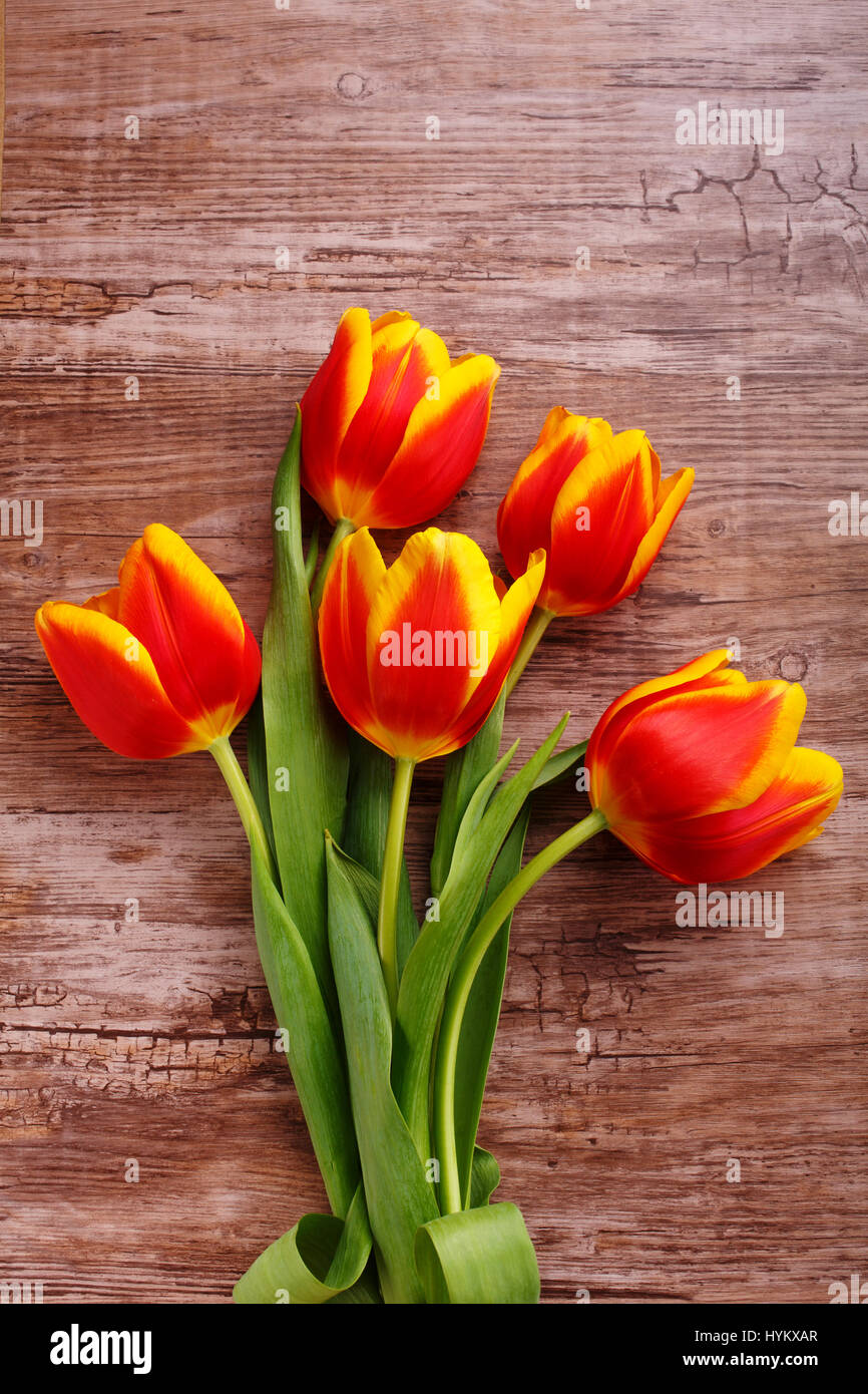Bouquet di tulipani gialli Foto Stock