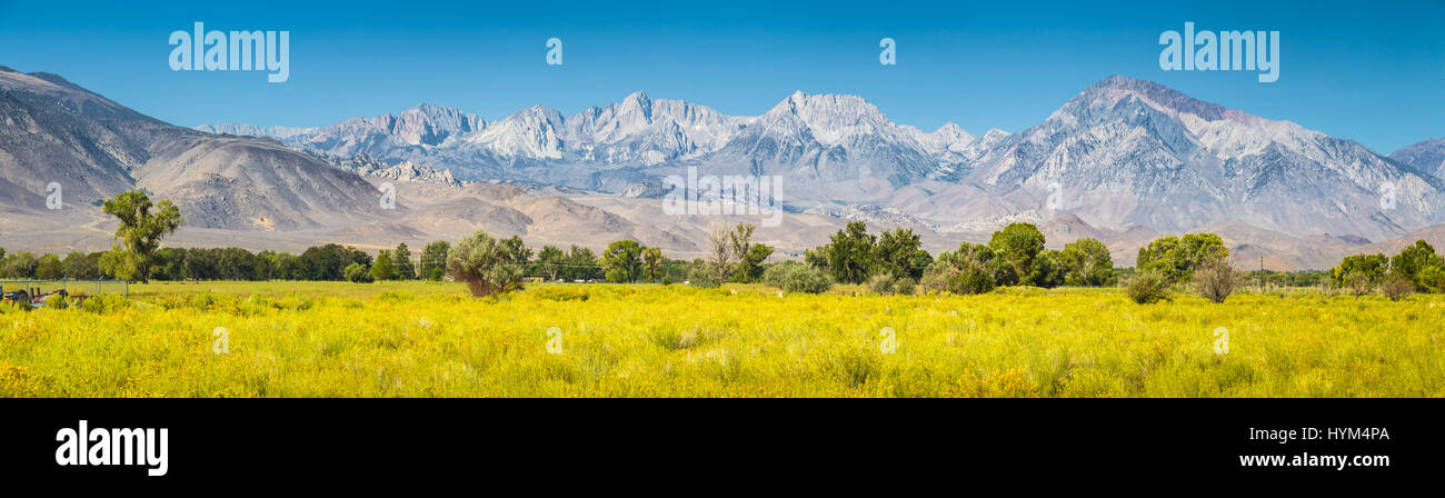 Eastern Sierra Nevada mountain range panorama con prati fioriti e alberi in una bella giornata di sole con cielo blu in estate, Vescovo, California Foto Stock