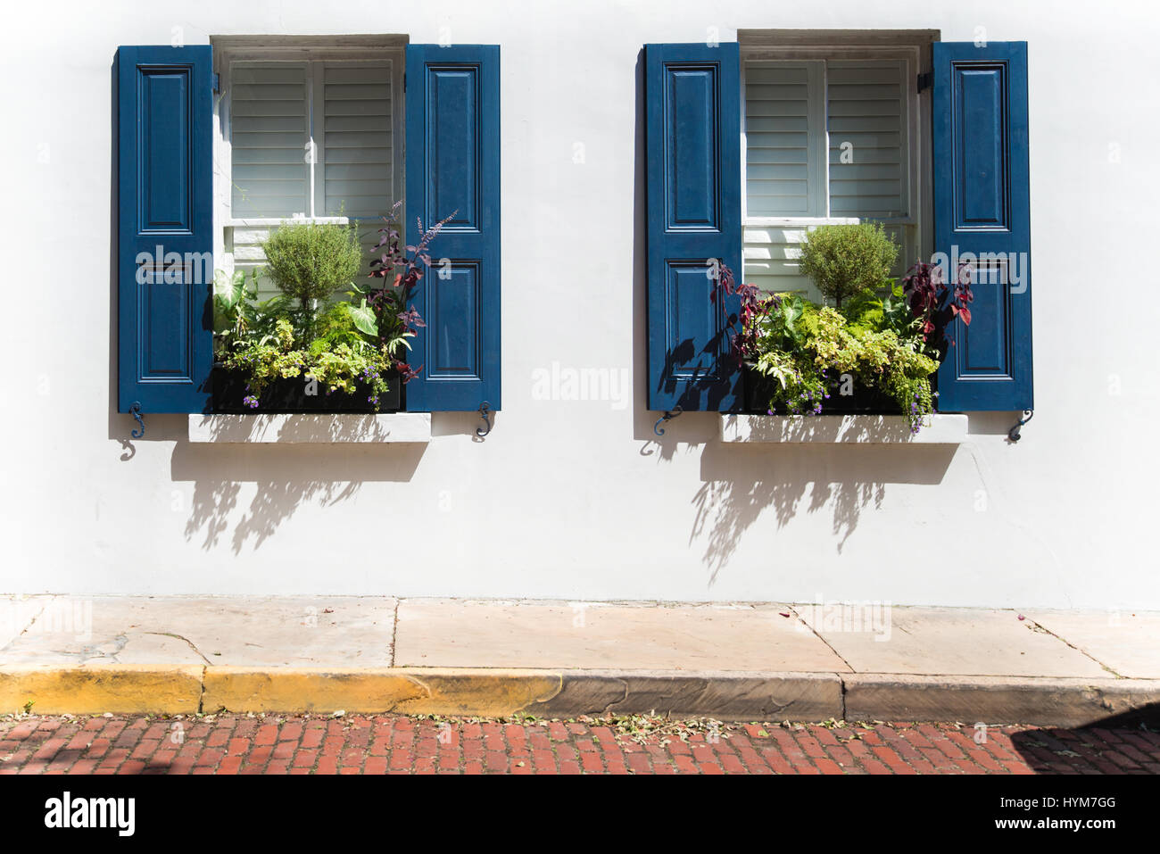 Due finestre colorate piantati con finestre sulle strade di Charleston, Carolina del Sud. Foto Stock